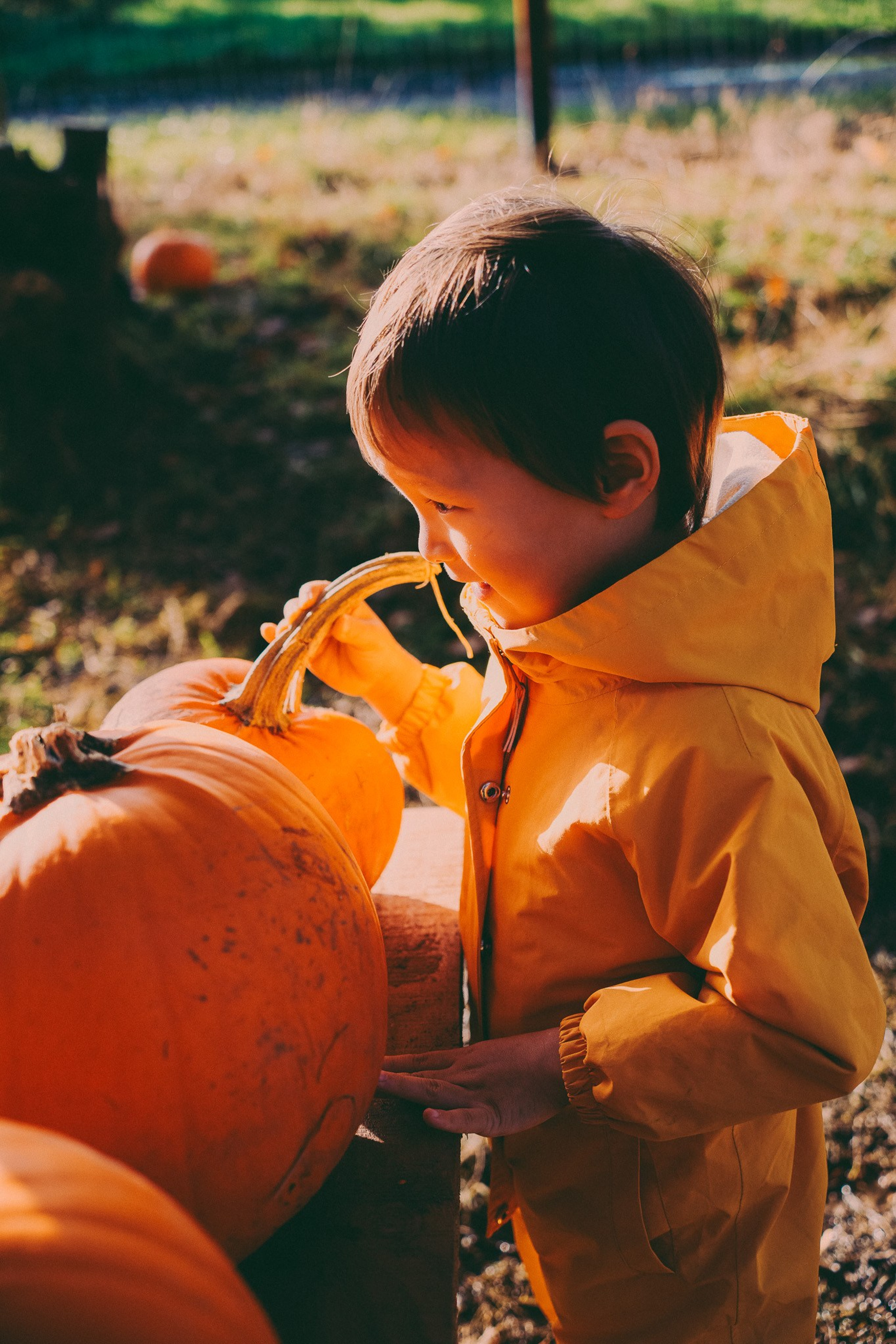 Brand photography in National trust. Creative Family, Brand, Boudoir and Wedding Photographer in Solihull & Birmingham Irina Zoteeva
