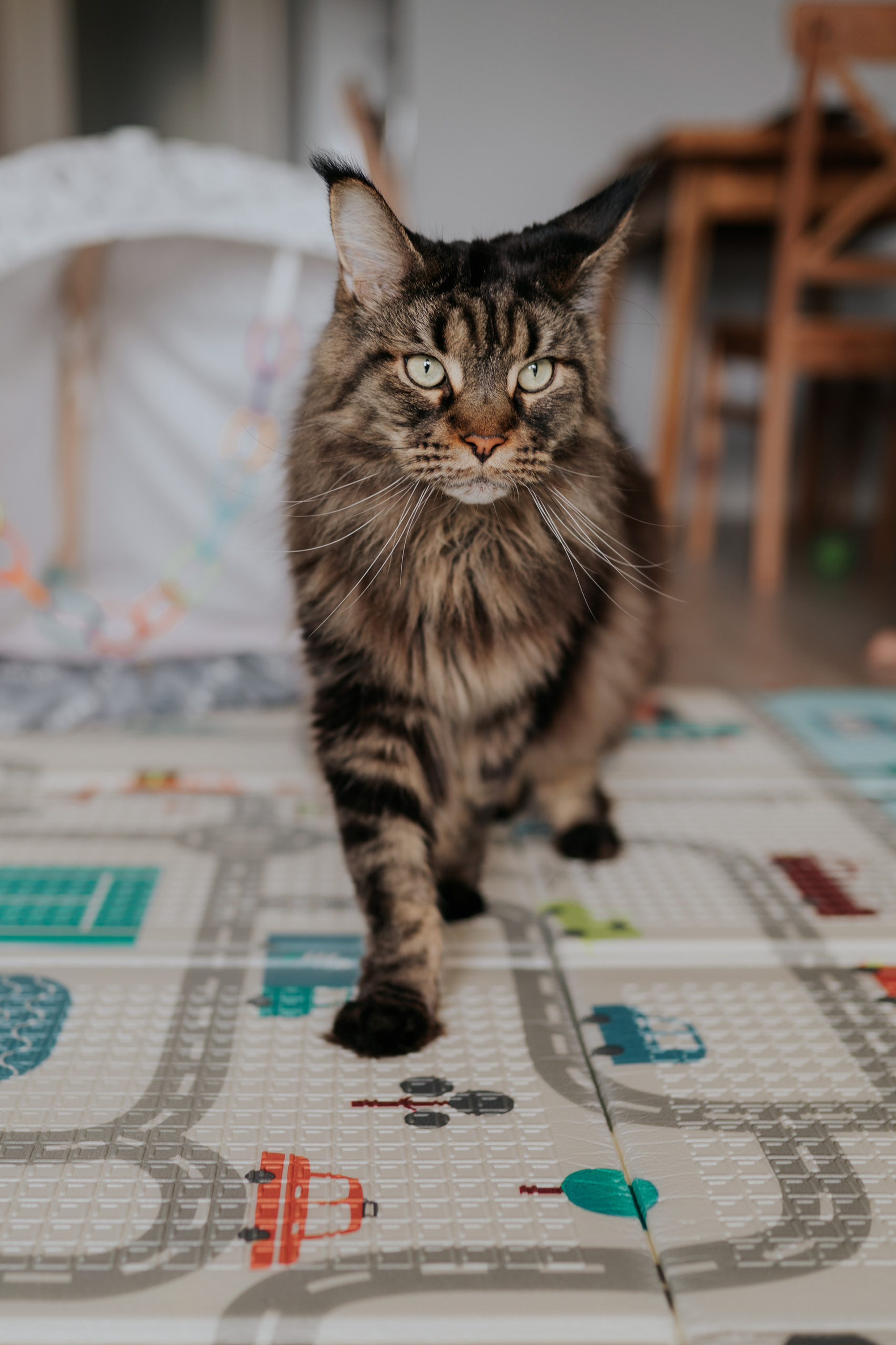 DiaFoto photographer feedback. DiaFoto — Wow Photographer in Barcelona | Premium Barcelona Photoshoot Experience