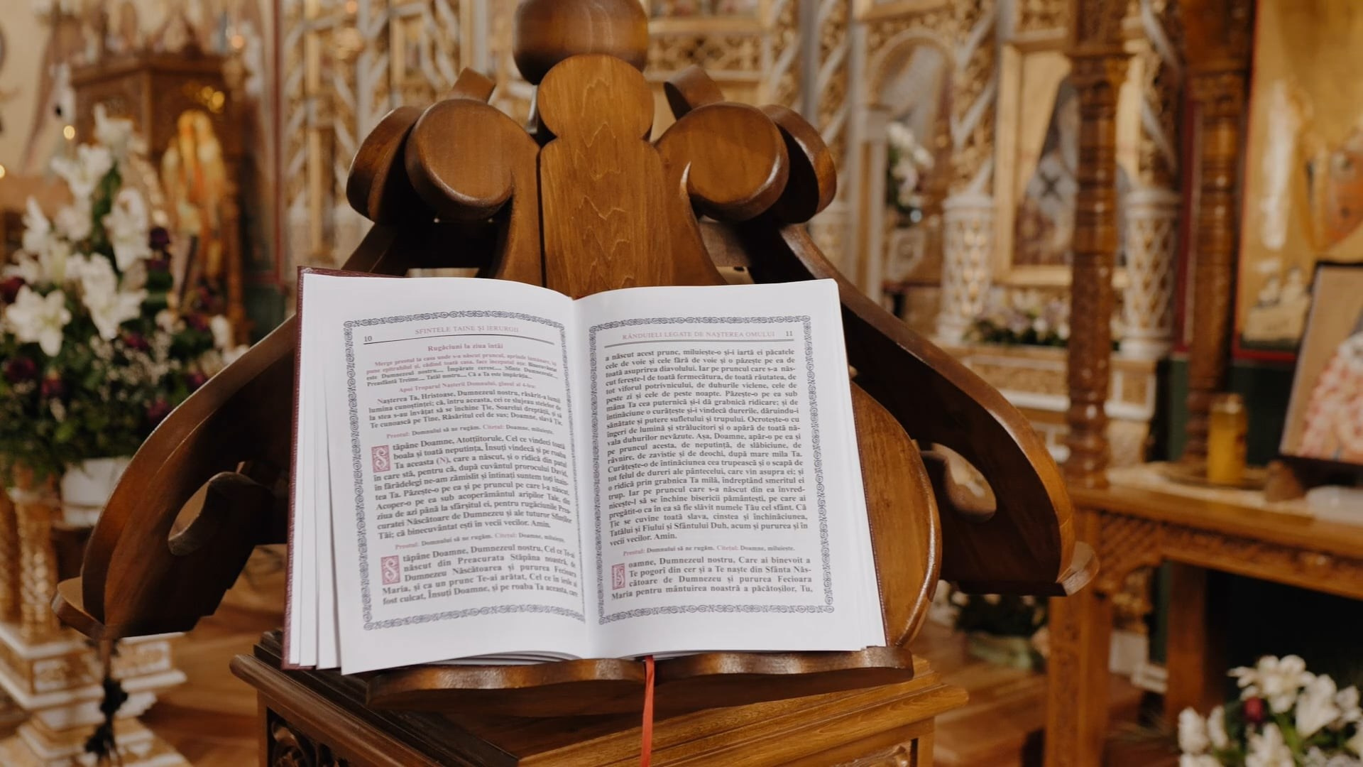 Ecaterina Ilaria. Dragosbaciuartphotographer