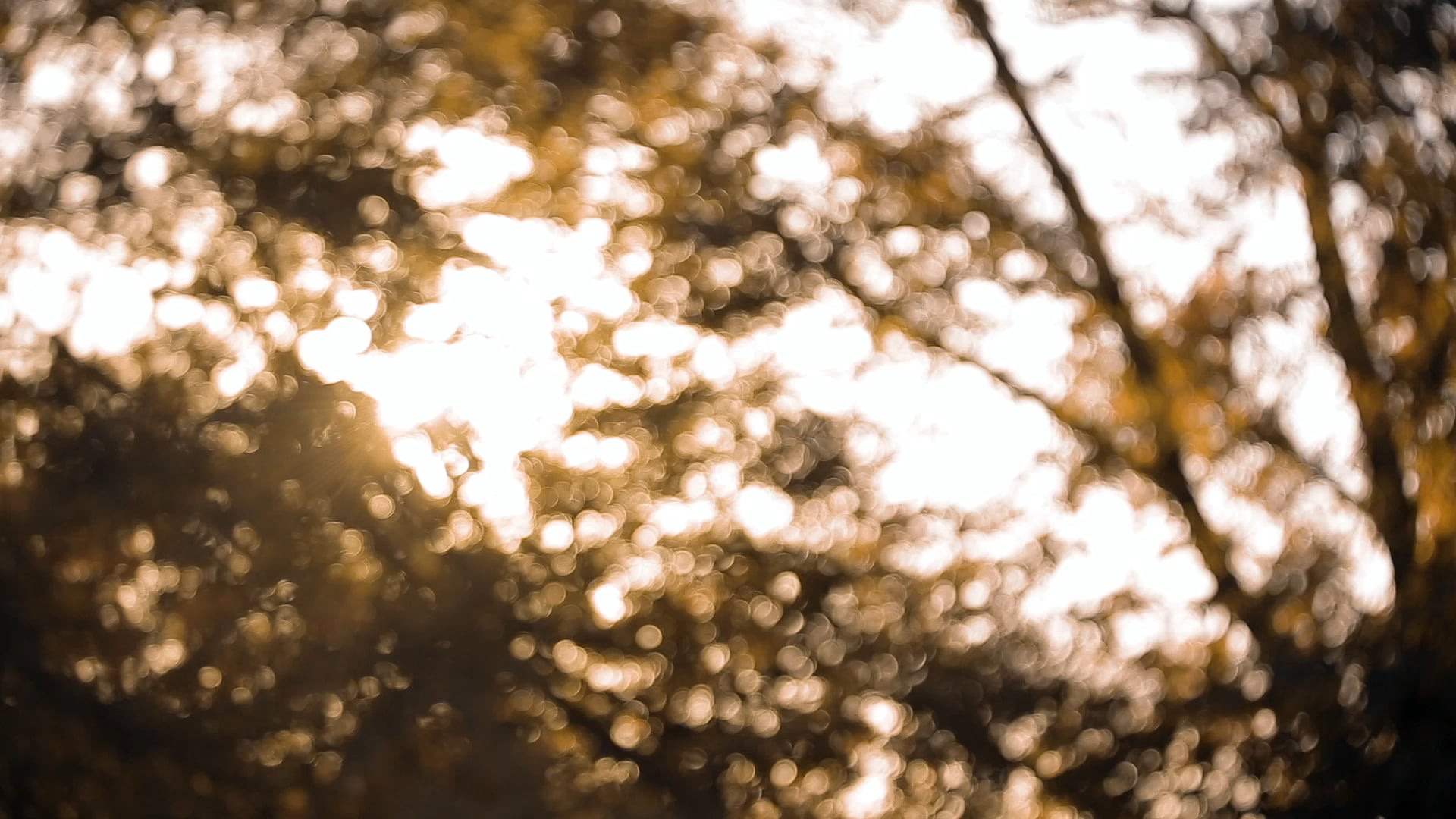 Videoclipuri - Filmari nunta Iasi