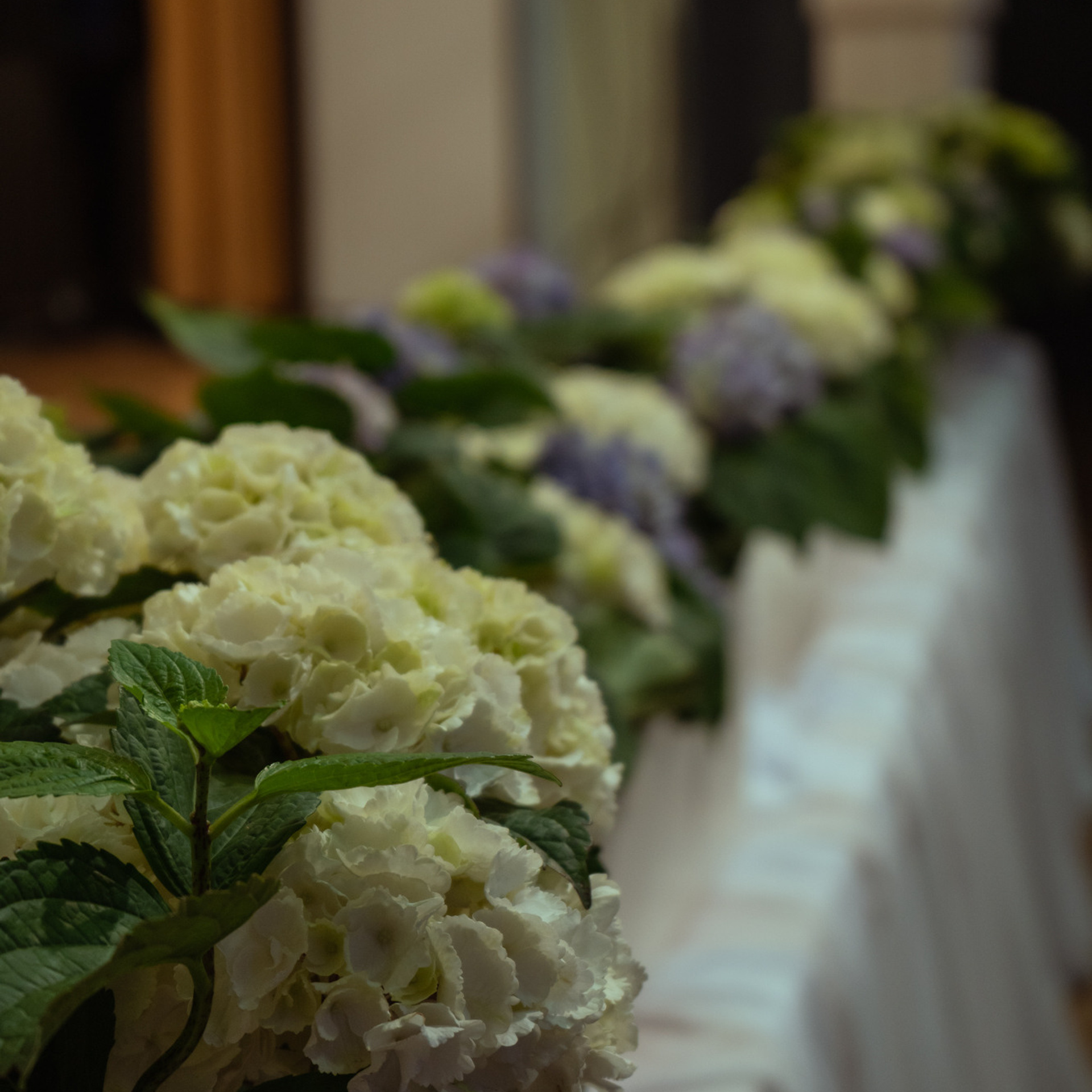 Отзывы. Свадебный, семейный и портретный фотограф в Дрездене | Ольга Гантман