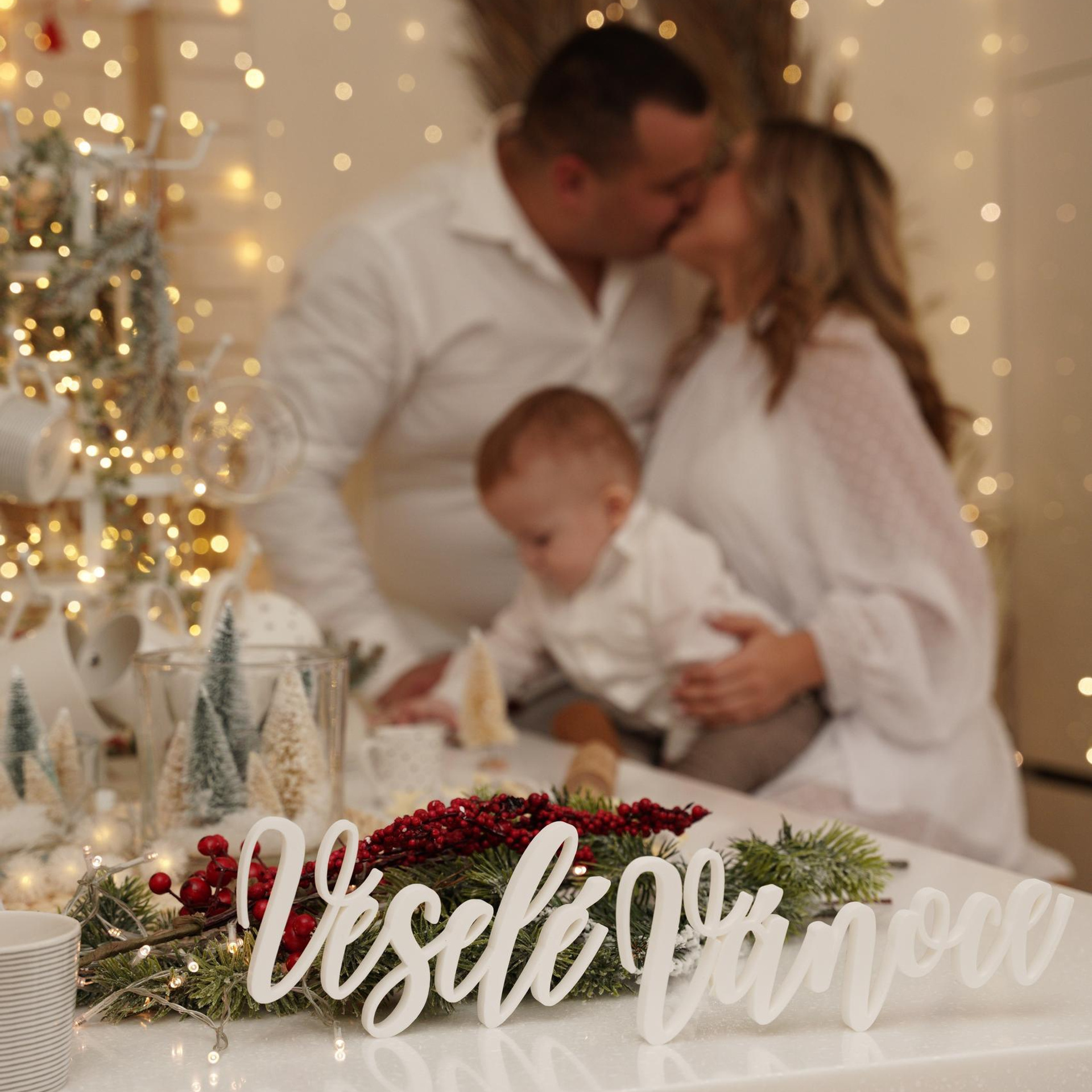 Recenze. Rodinna fotografka Plzen Anita Dergachova