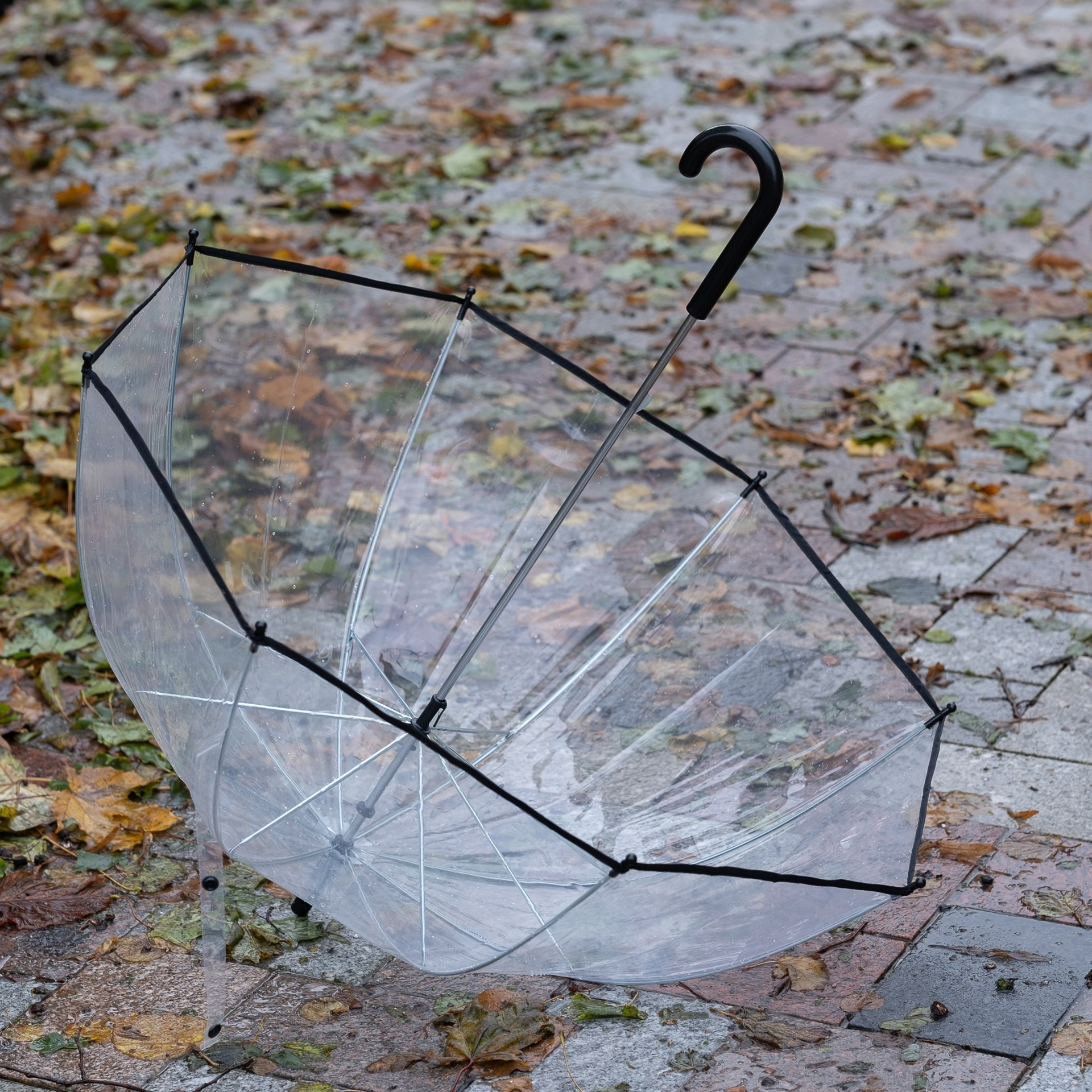 Feedback. Newborn Baby Fotografie Flensburg Babyfotoshooting