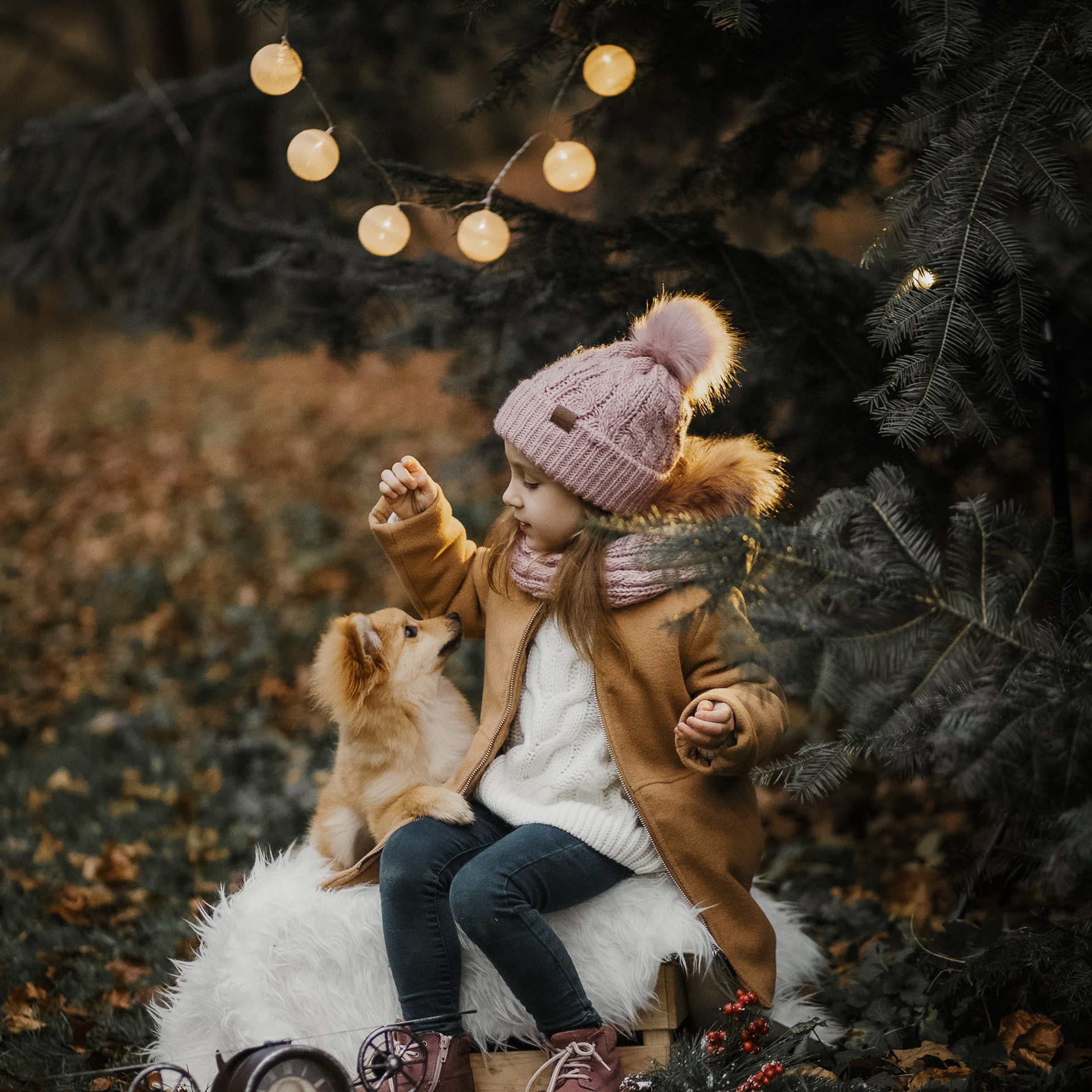 Bewertungen. Fotografin Hamburg Reinbek Elizaveta Romanova