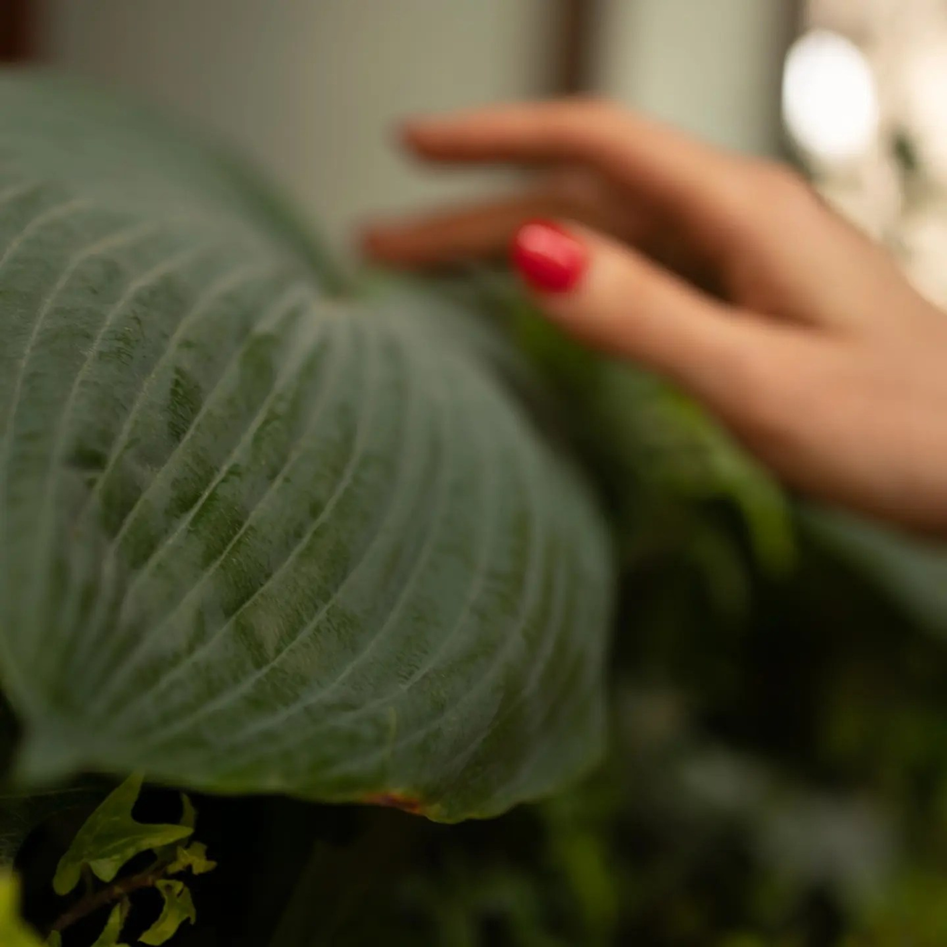 Témoignages. Семейный фотограф во Франции (Мец, Люксембург)