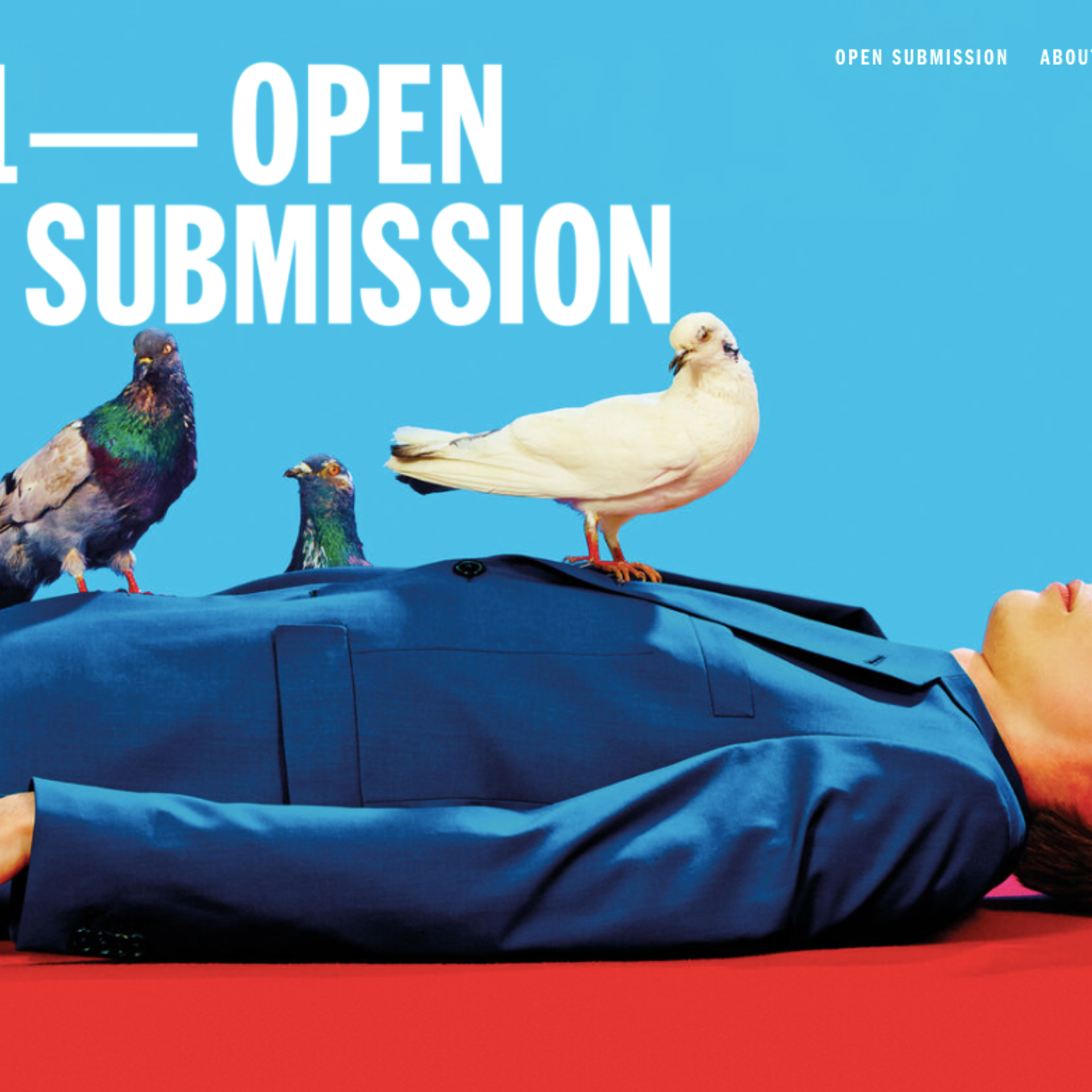 ANNOUNCEMENTS. Irina Shkoda