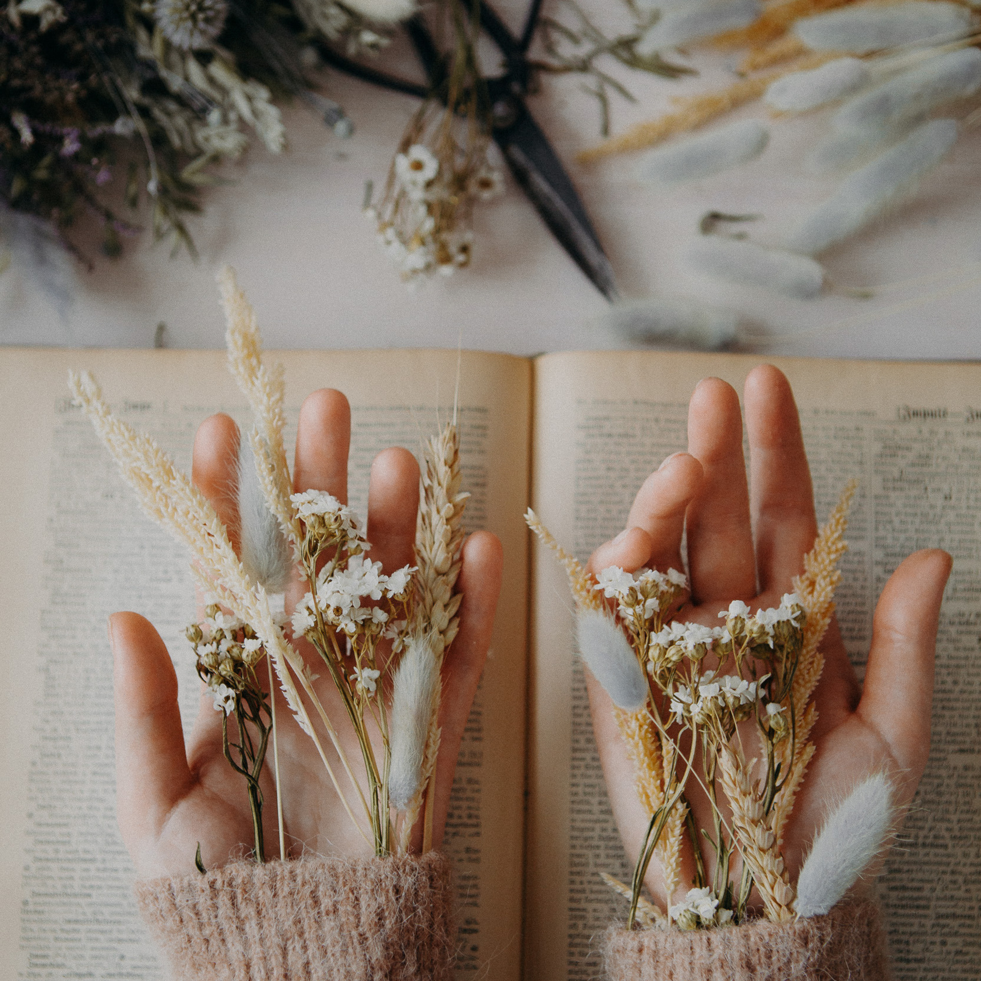 Visuals for the flower shop