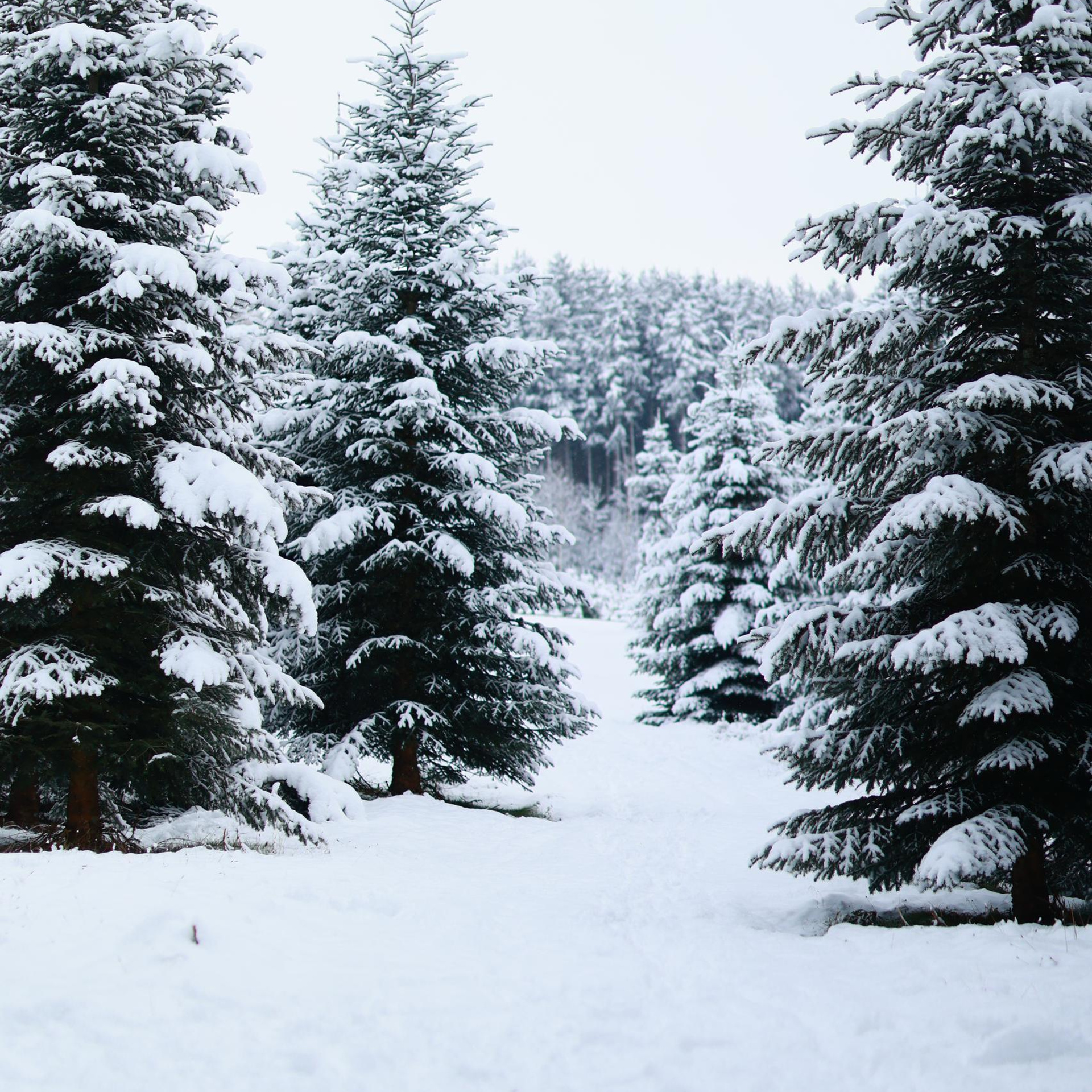 Отзывы. Фотограф в Мюнхене Анастасия Воробцова