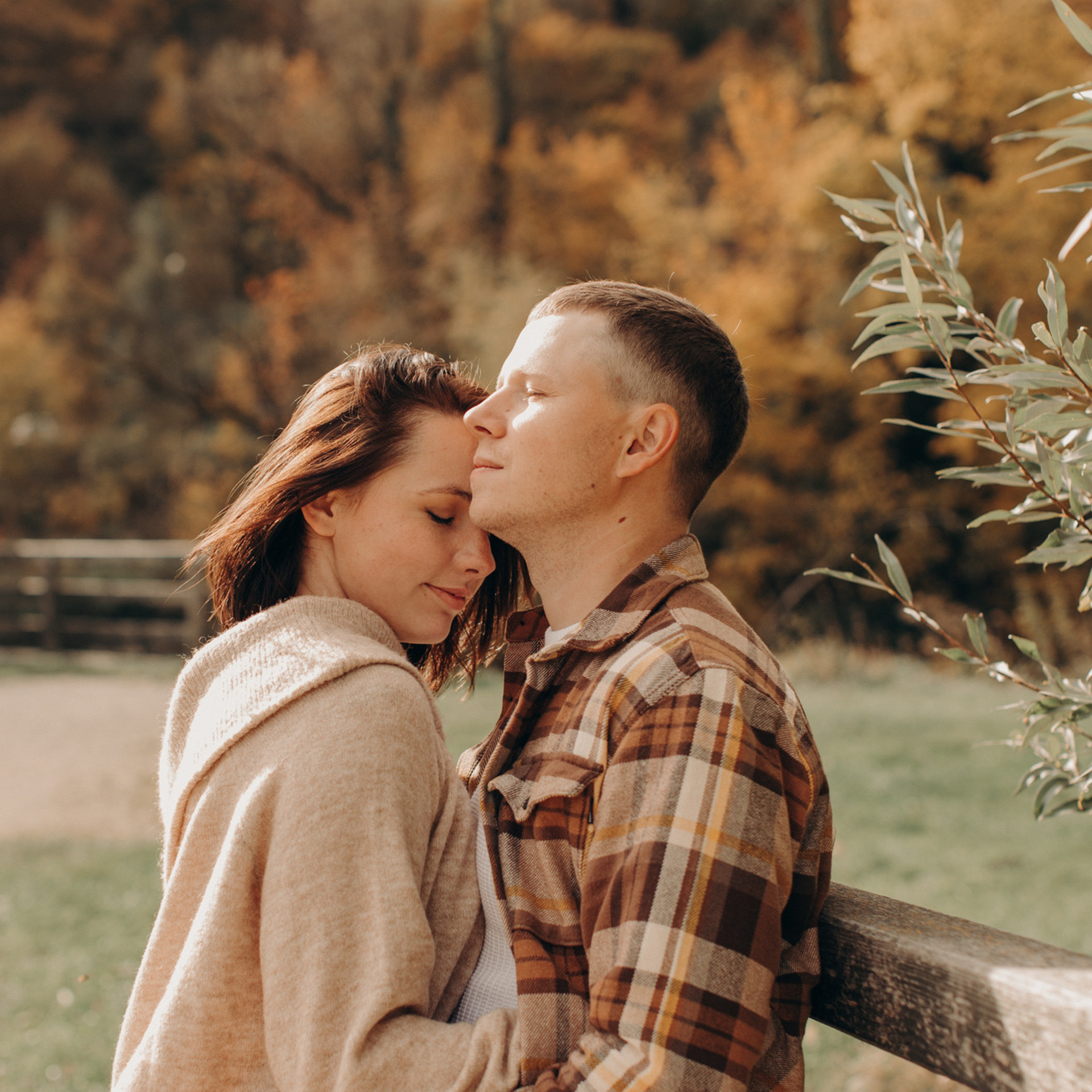 Золотая осень