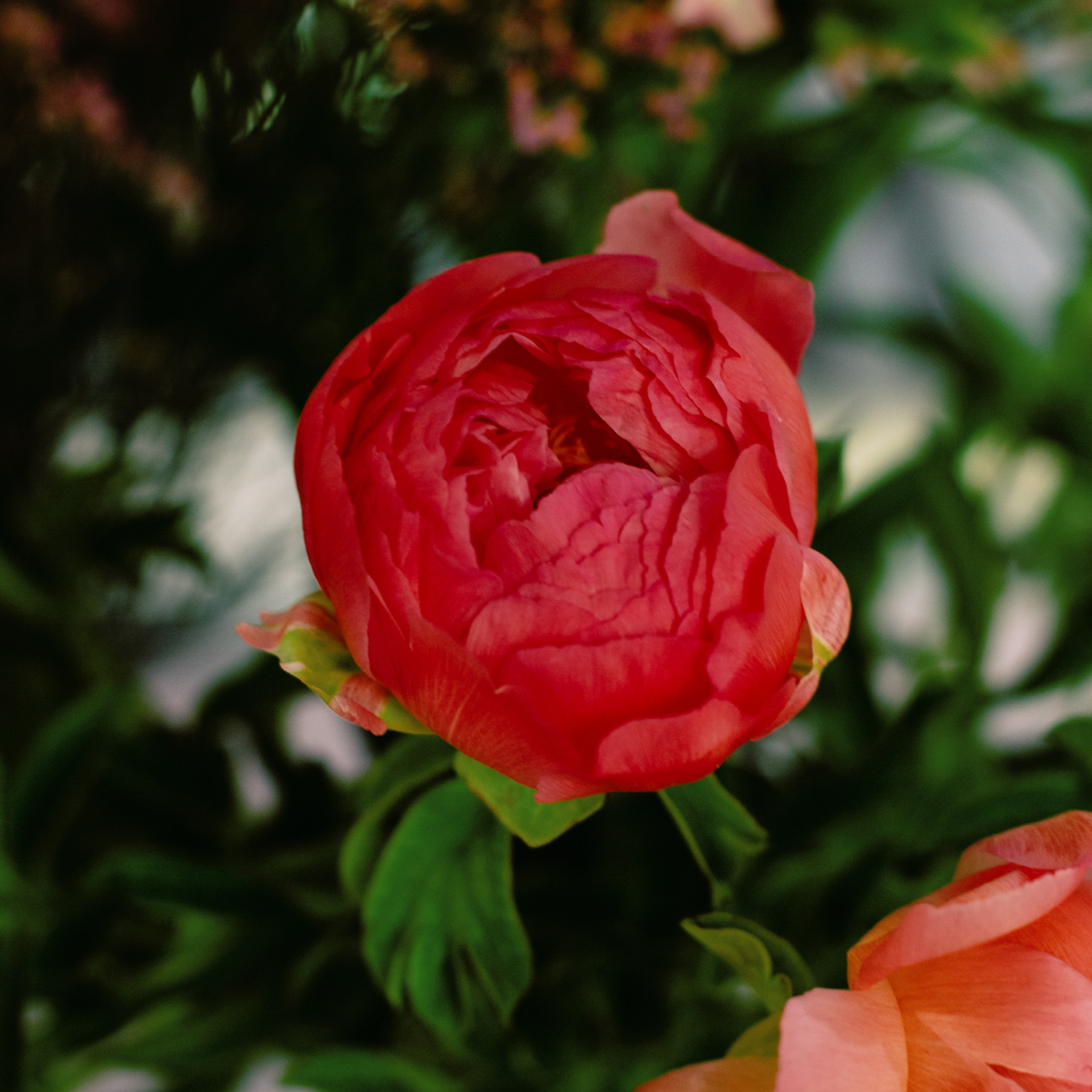 Цветочный мастер-класс