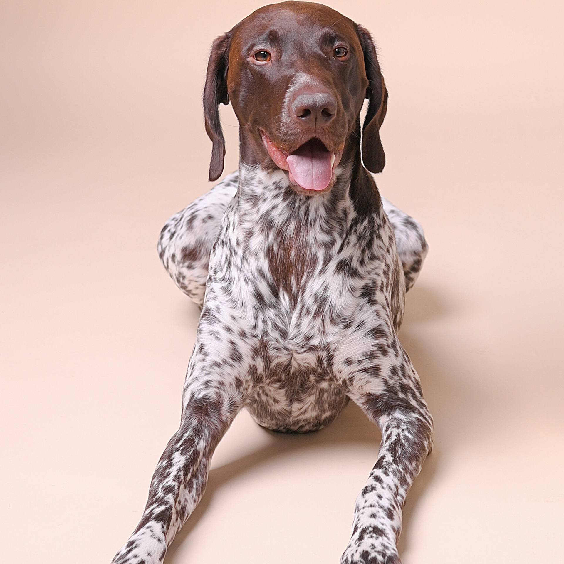 Feedback. Kinder- & Familienfotograf in Gaildorf und Umgebung Valentina Vogel