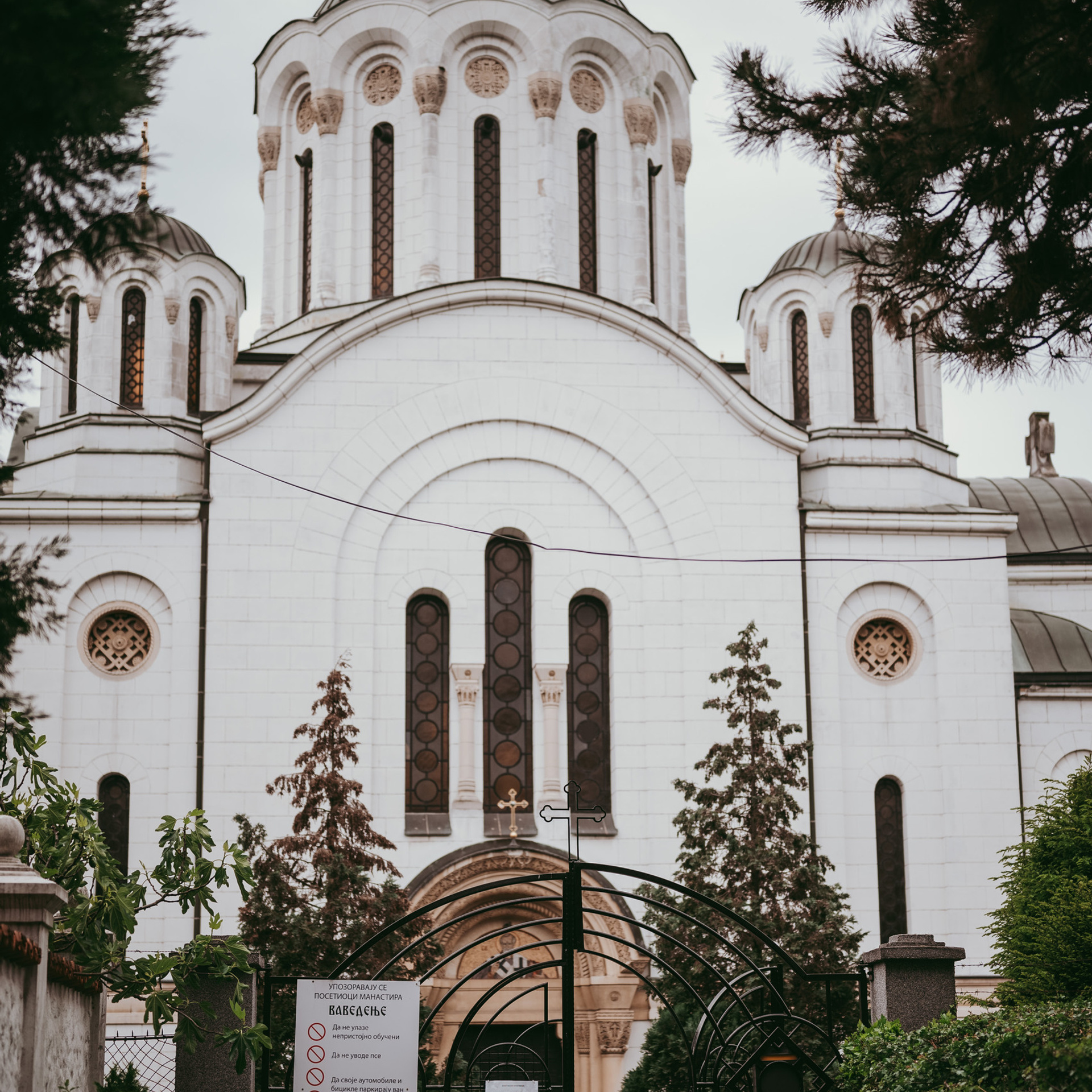 Vaši utisci. Deciji i porodicni fotograf u Beogradu Oksana Skendzic