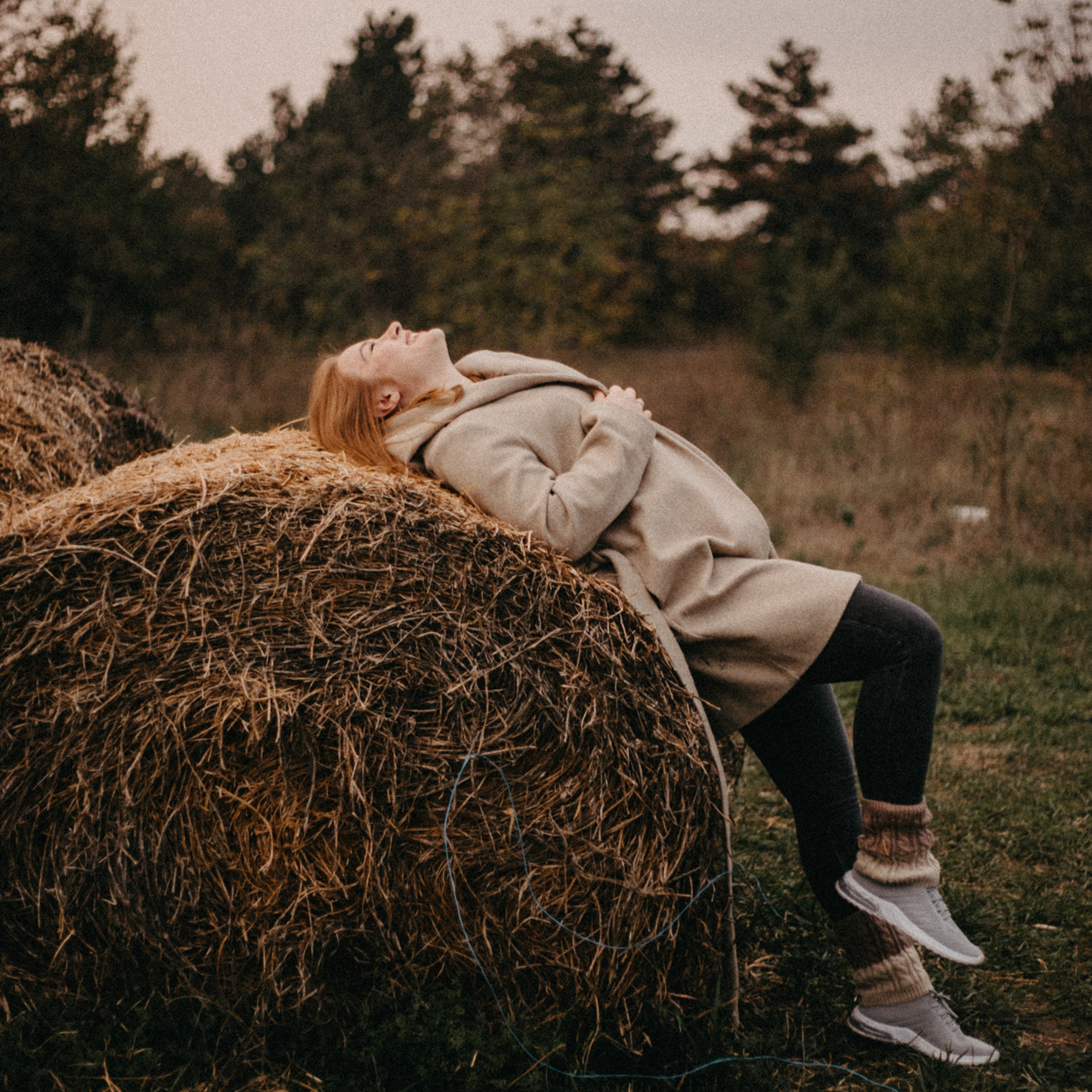 .feedback | отзывы