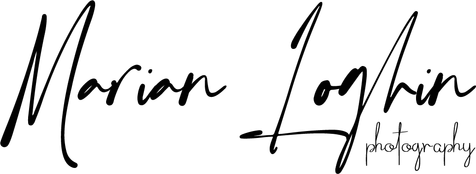 marianloghin.com