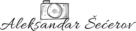 aleksandarsecerov.com