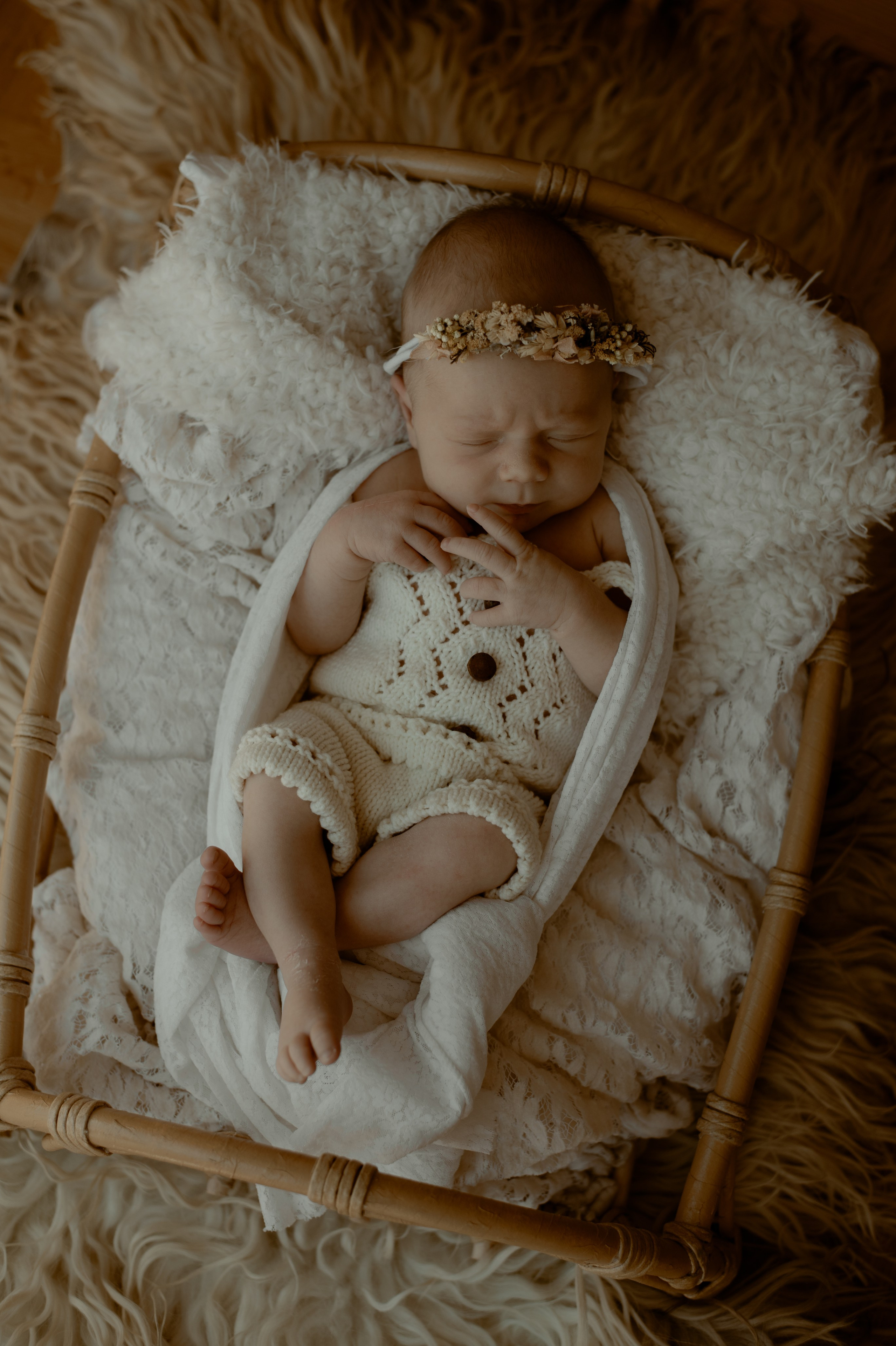 Wedding & Family photographer Jelena Anđelić