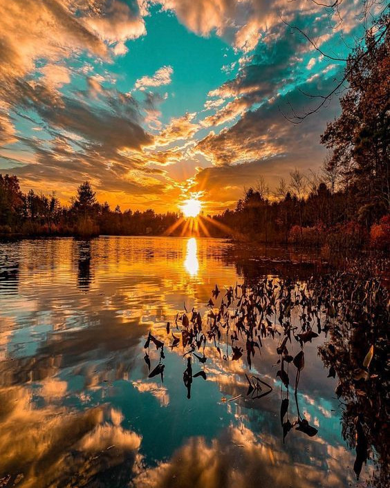 Курс «Проводник СВЕТА». Главная