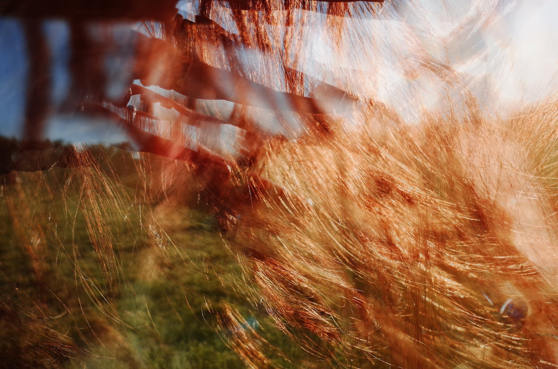 Aut Splash. Victoria Dini. Art photography in London / Folkestone, UK