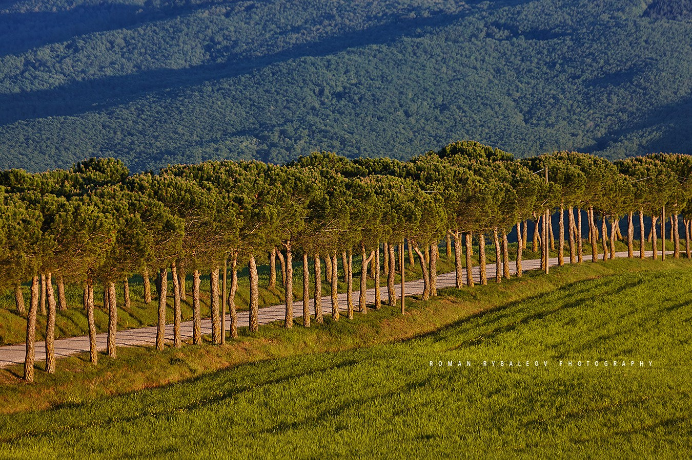 CAFE DEL PHOTO #89 «Рождённые в борделях». Școala de fotografie lui Roman Ribaliov. Orașul Chișinău, Moldova