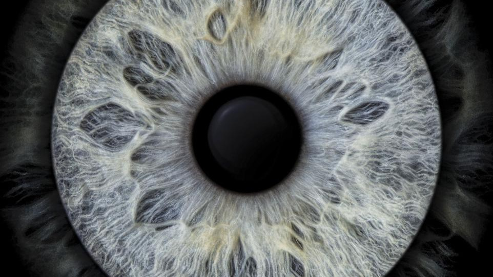 Hi, my name is Eric T and I am Iris photographer