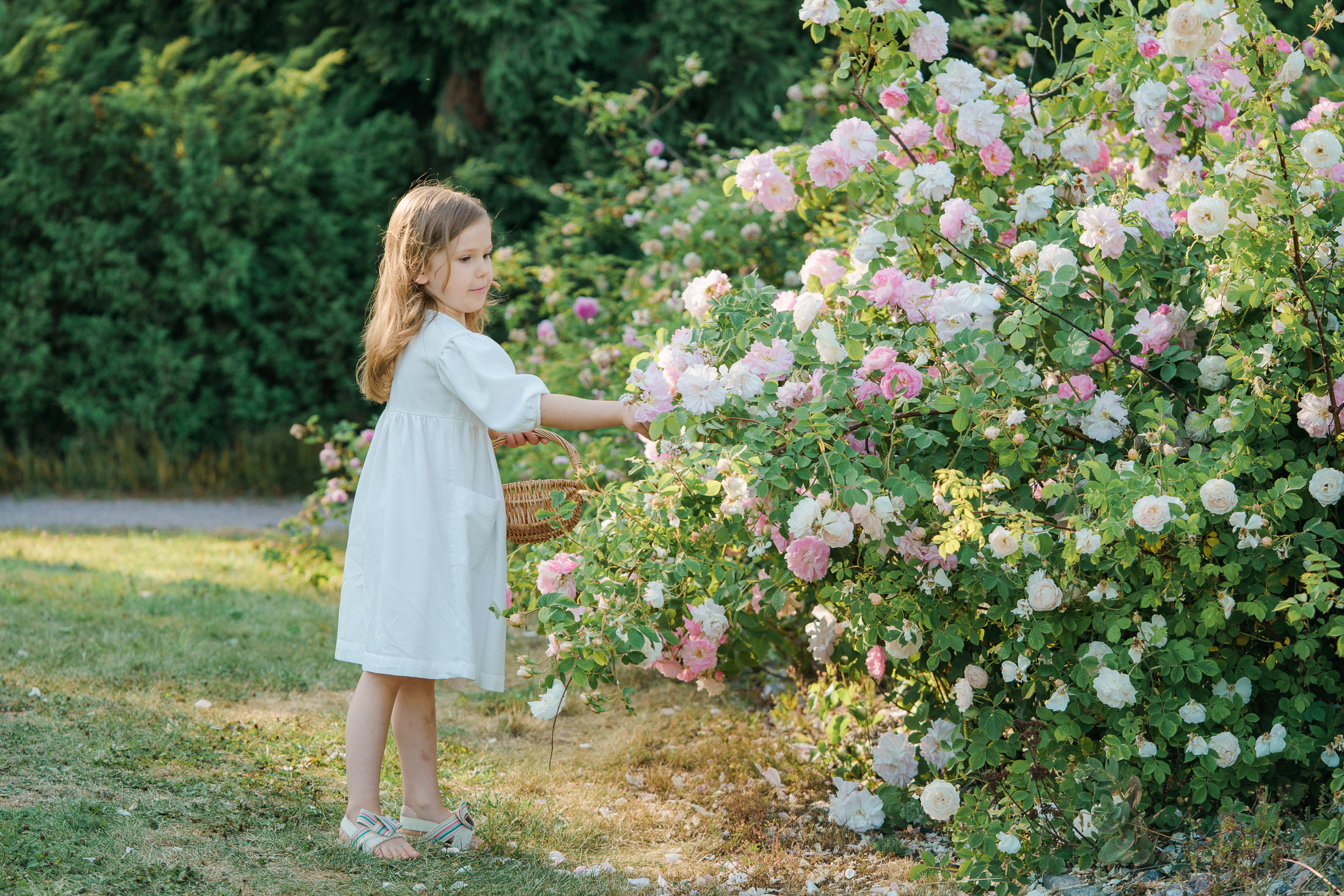 Äiti-lapsikuvaus Helsingin ruusutarhassa