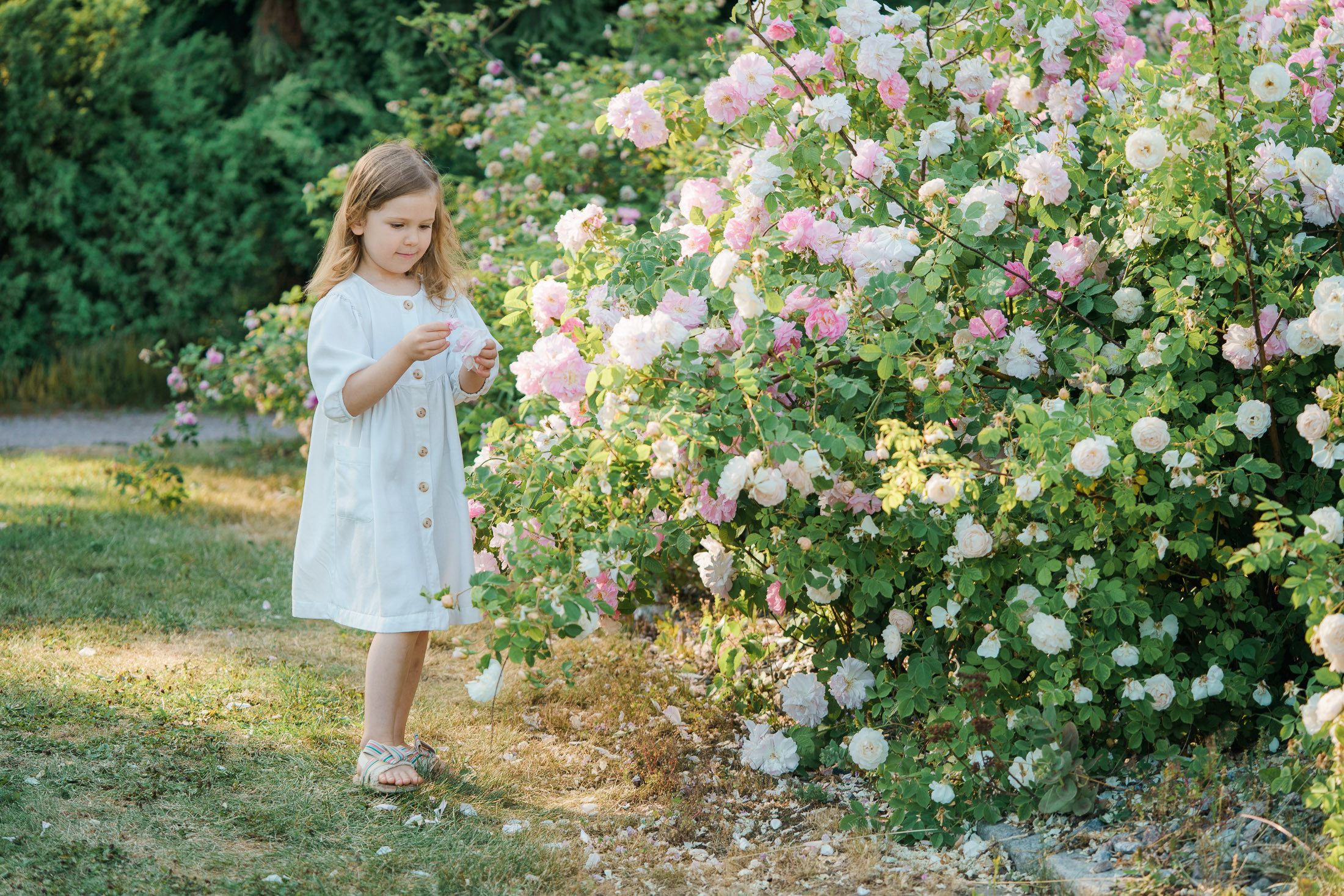 Äiti-lapsikuvaus Helsingin ruusutarhassa