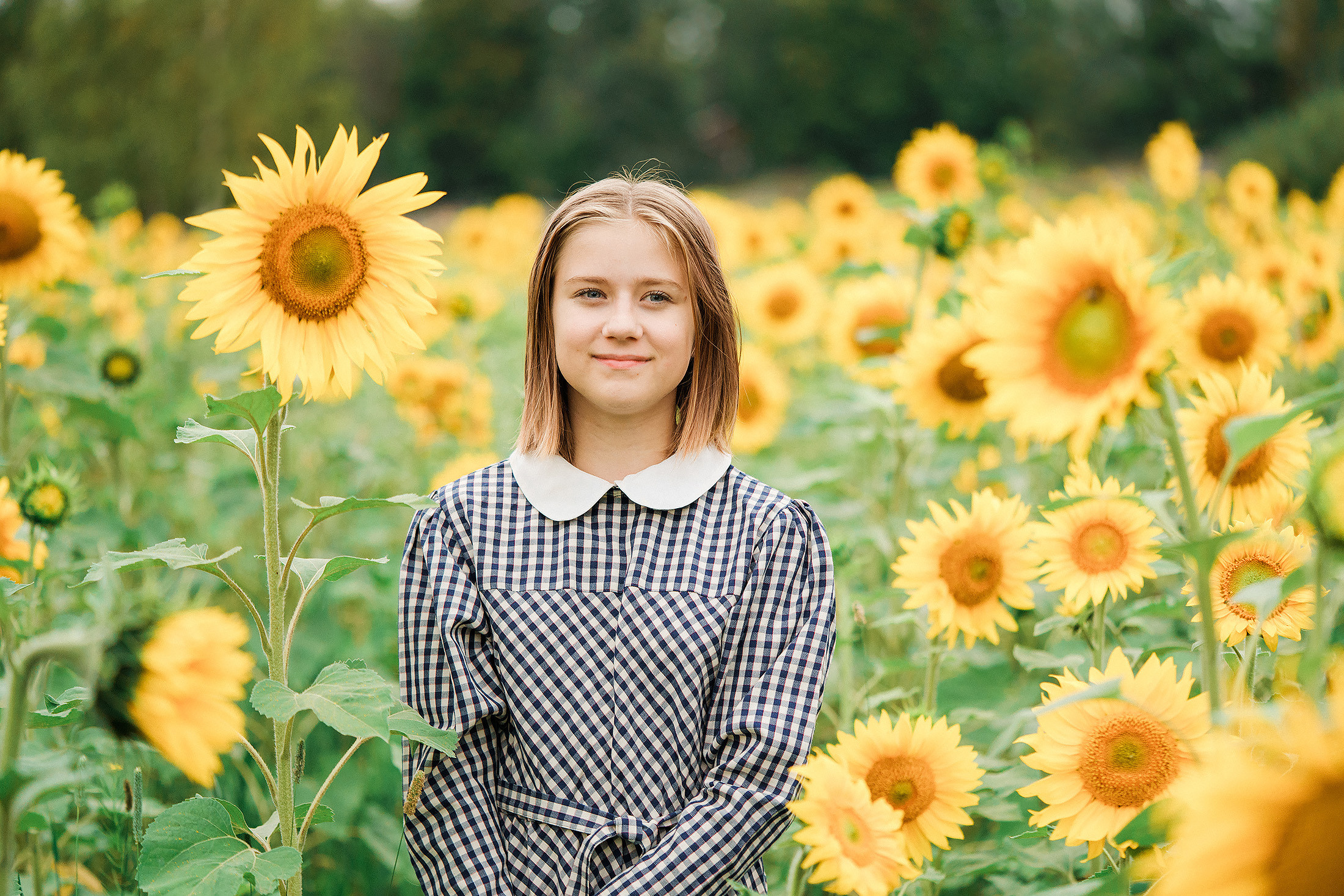 Lapsikuvaus auringonkukkapellolla