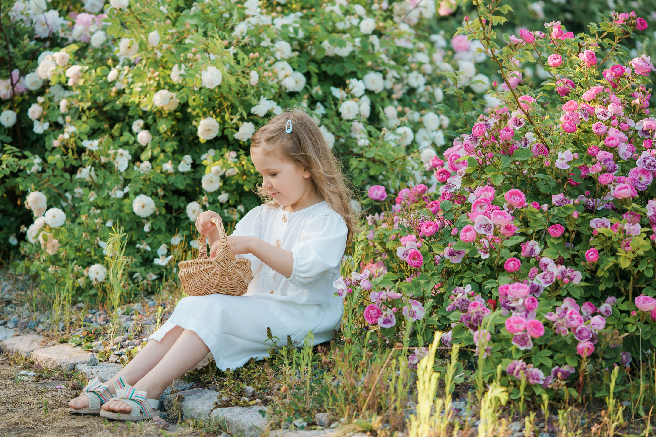 Äiti-lapsikuvaus Helsingin ruusutarhassa