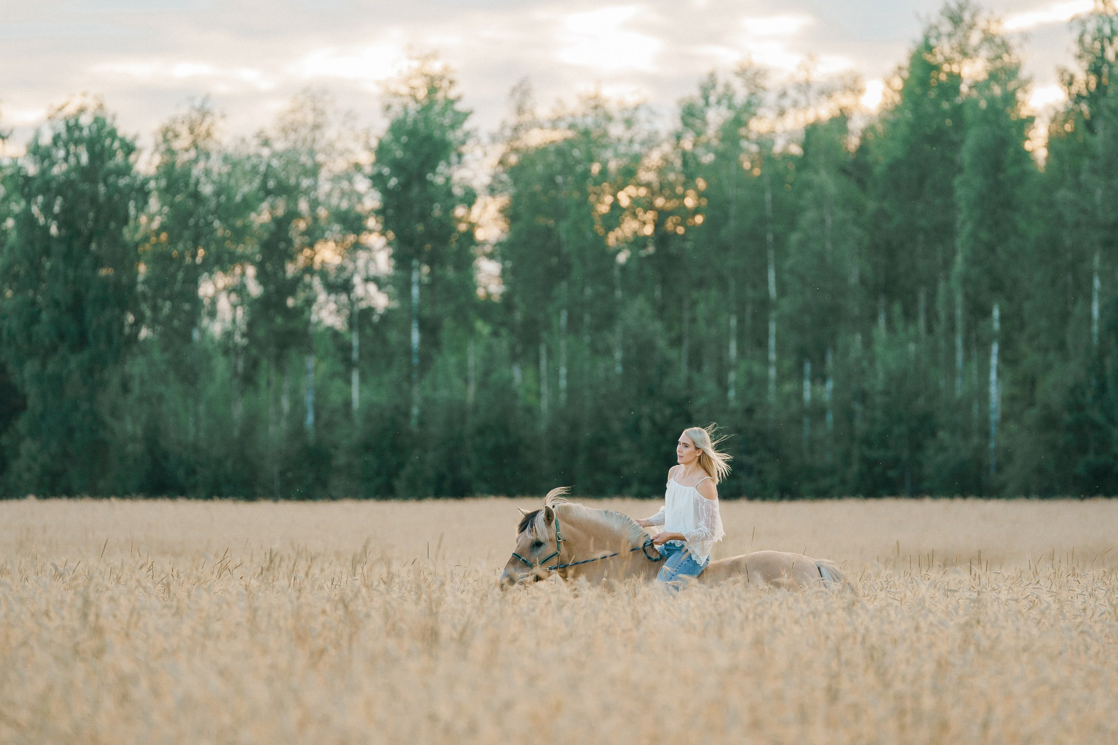 Perhekuvaus Vihdissä