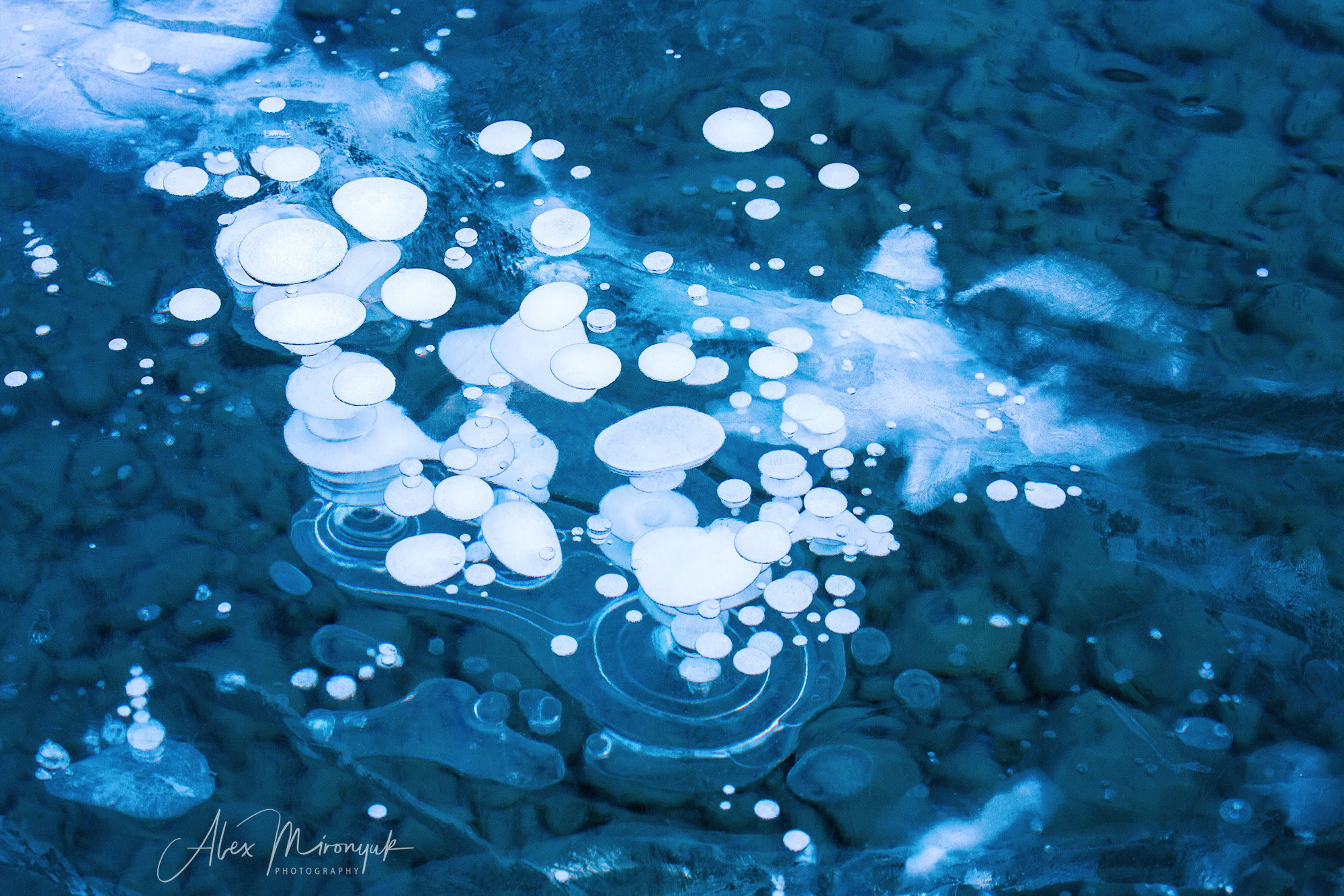 Photographing Winter Wonderland — Canada. Alex Mironyuk Photography