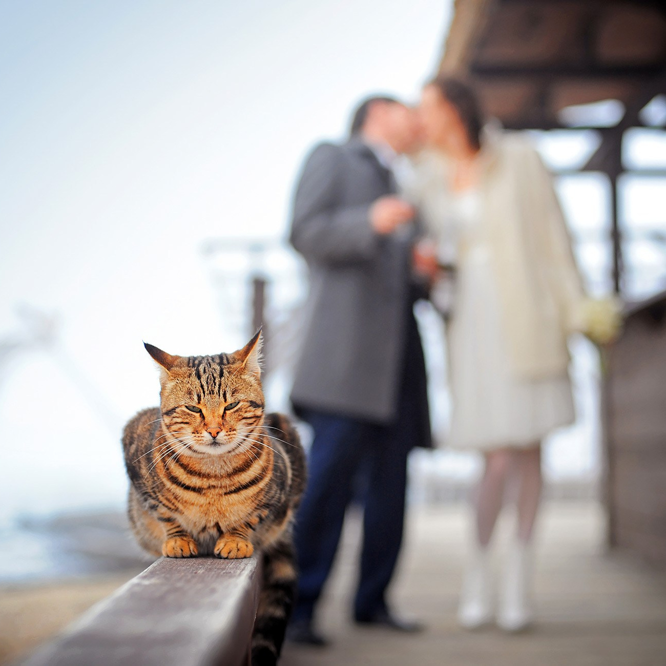 Школа фотографии в Европе — индивидуальный фото курс Андрея Звягинцева