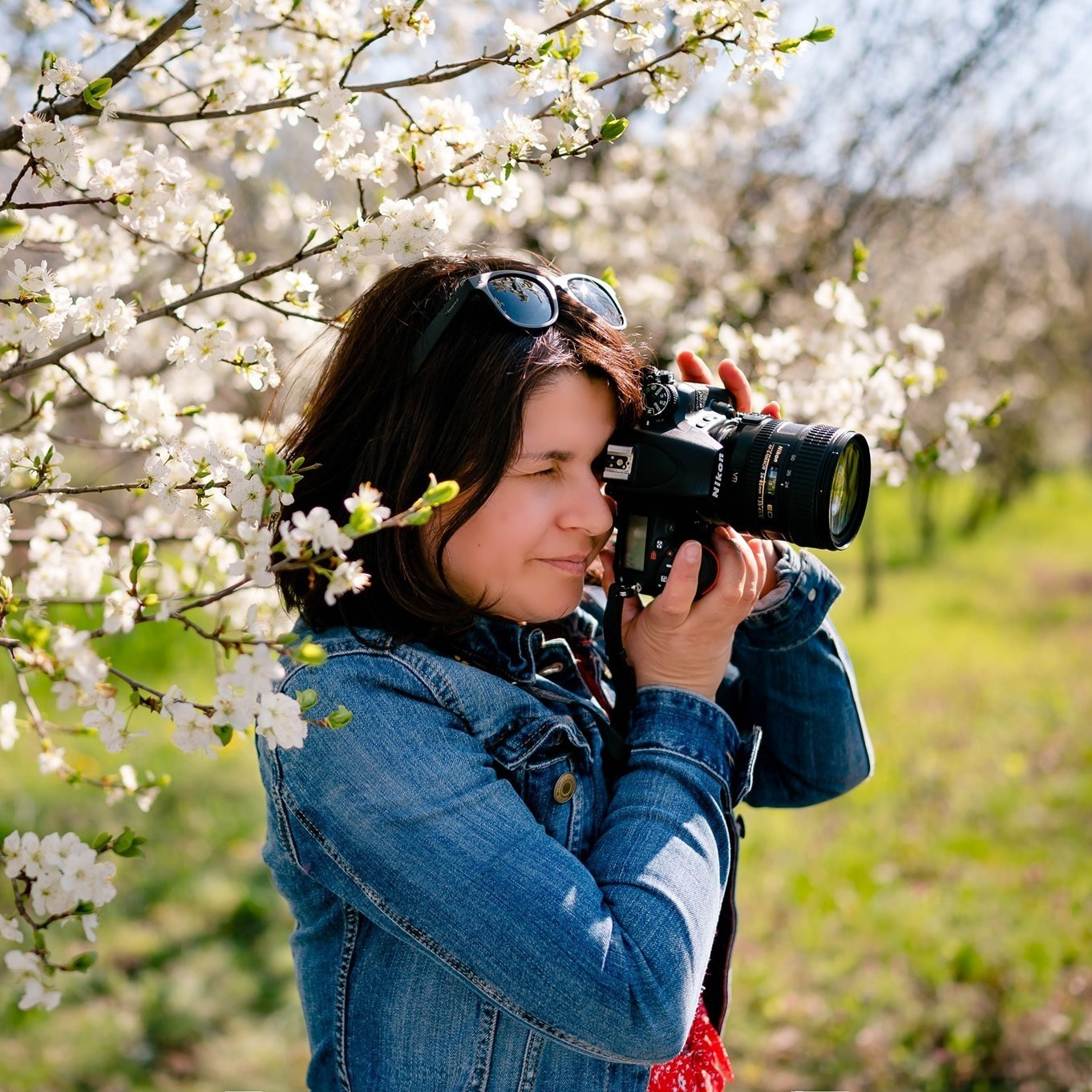 Contact. Ligiafoto.ro