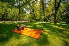 Ghidul Complet pentru fotografii in locatii reușite. MDimaFotoStudio. Fotograf de nuntă, evenimente private și de familie