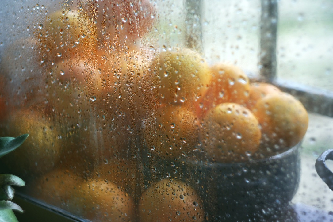 Fotógrafo Torrevieja, Costa Blanca, Alicante, Madrid, España, Leyla