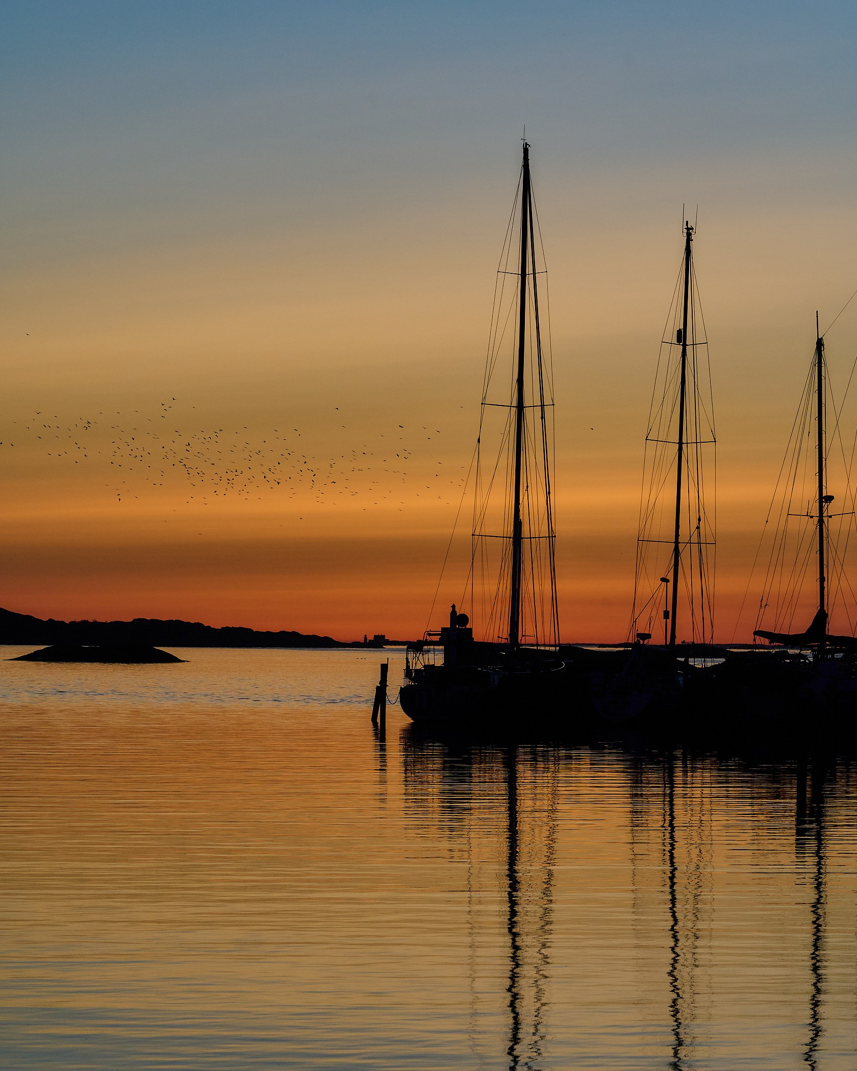 My favourite photos, class of 2024. Yuri Popkov | Photographer