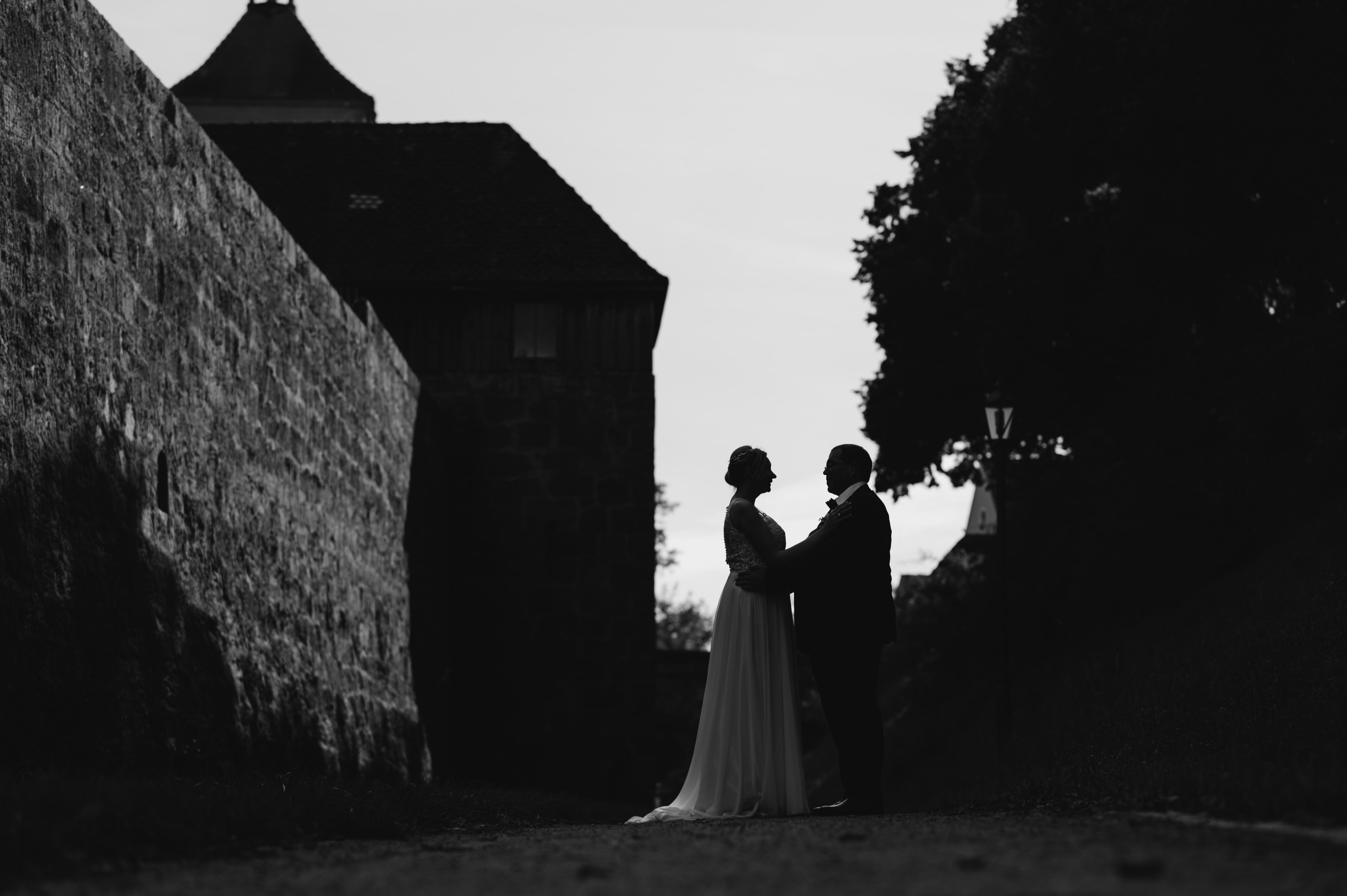 Hochzeitsträume mit Fellnase. Фотограф в Нюрнберге Ирина Менерт из Ансбаха