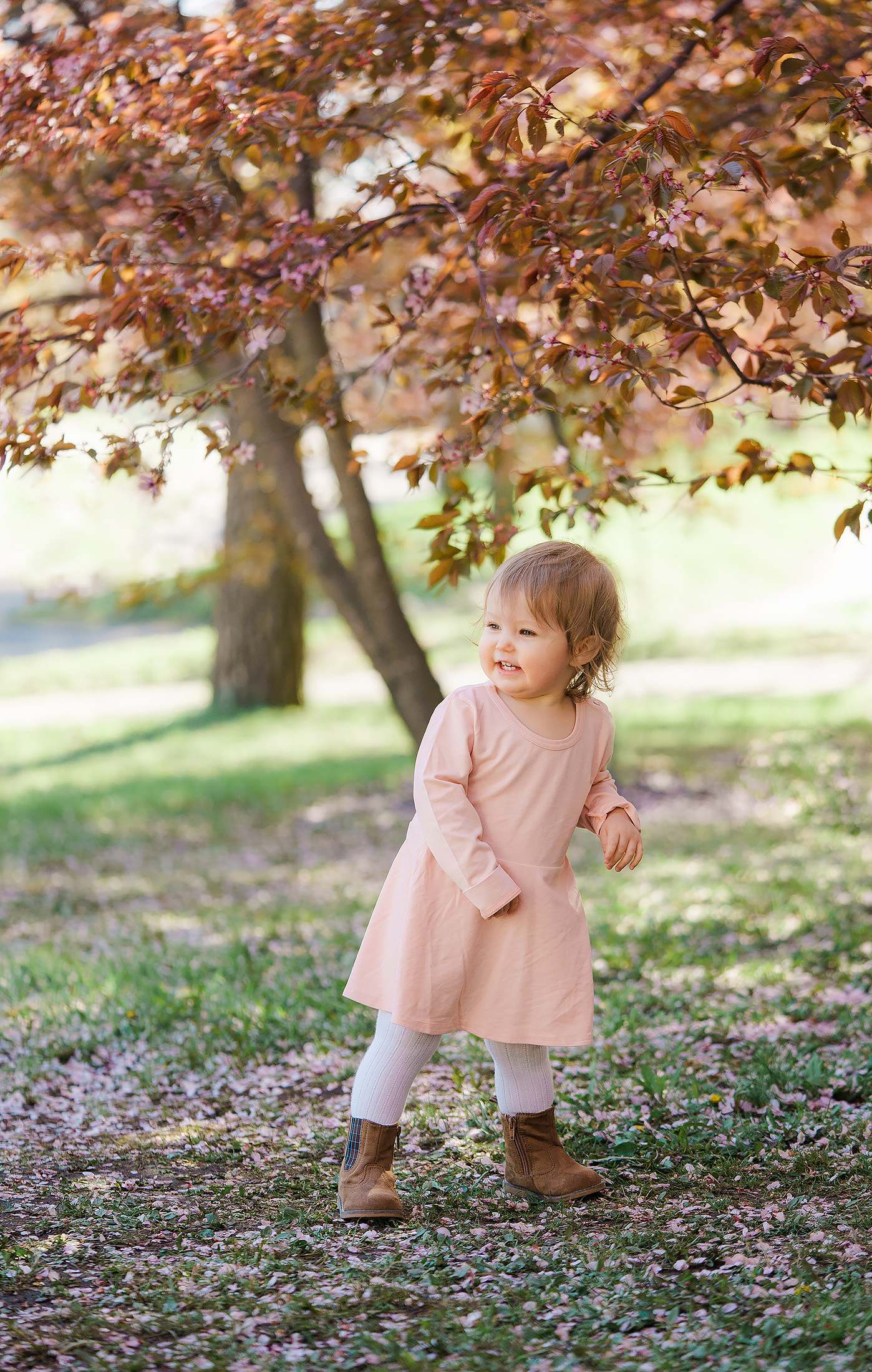 Roihuvuoren kirsikkapuisto