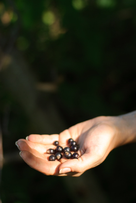 Dacha stories. Victoria Dini. Art photography in London / Folkestone, UK