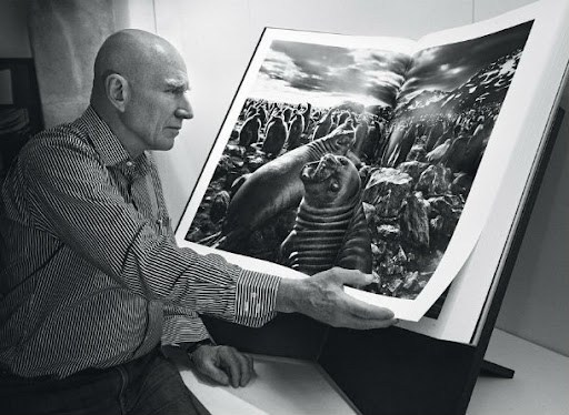 CAFE DEL PHOTO #91 «Соль Земли». Памяти Сальгадо. Școala de fotografie lui Roman Ribaliov. Orașul Chișinău, Moldova