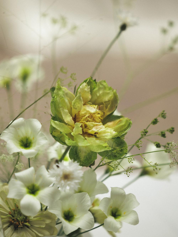 R+N. UK, Midlands & Destination Wedding Photographer | Leicester Documentary Wedding Photography