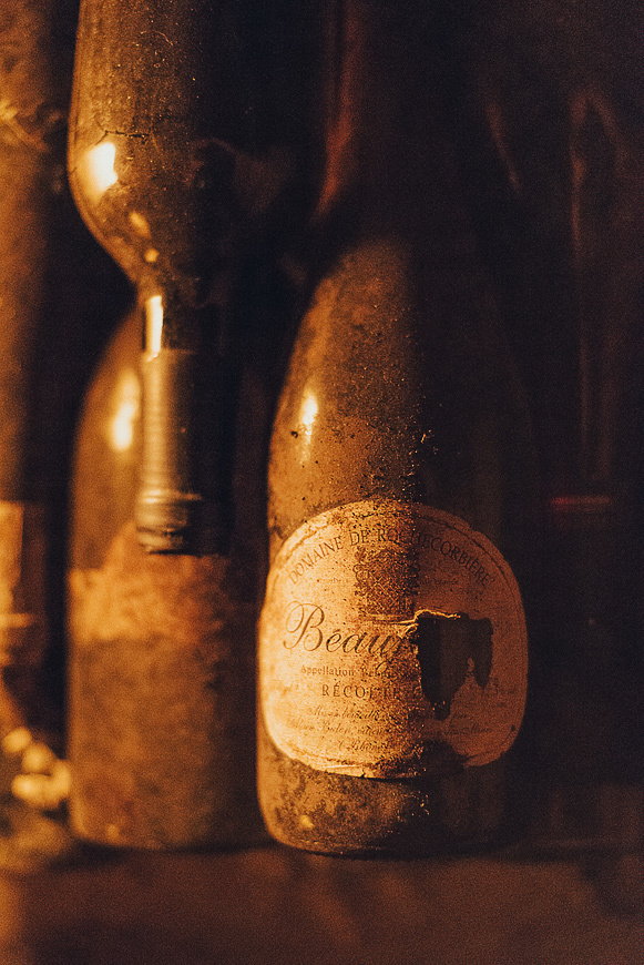 Nathalie Liebart Champagne. Ksenia Marchand/ Lifestyle photographer in Paris