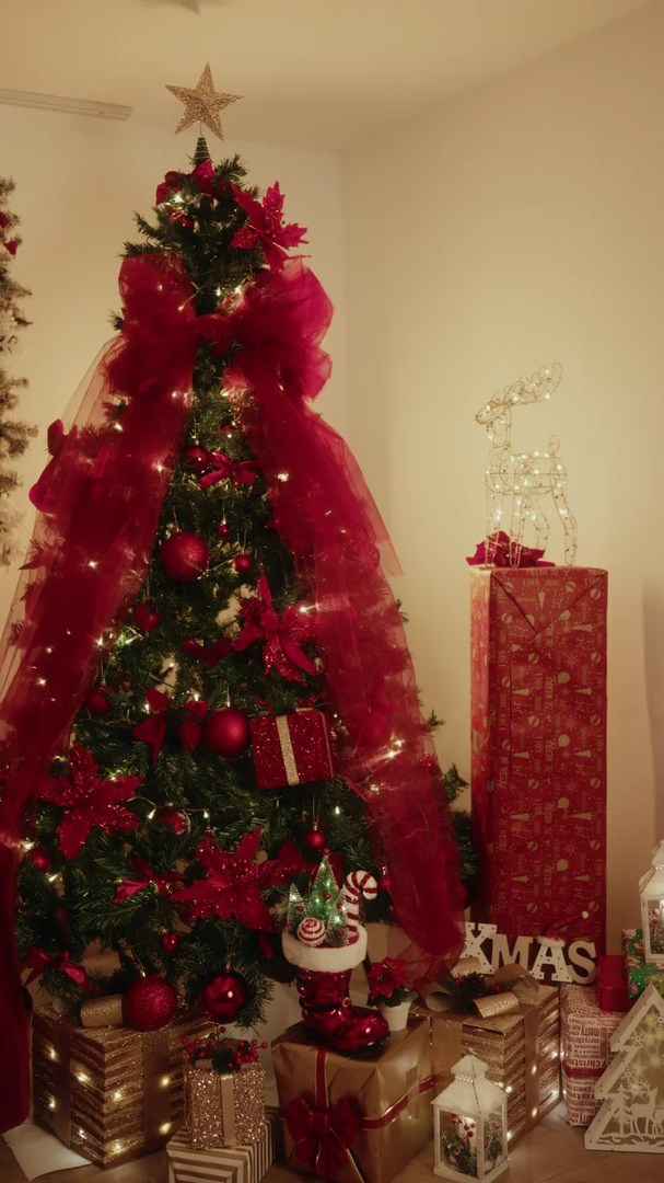 Sedinte Foto de Craciun