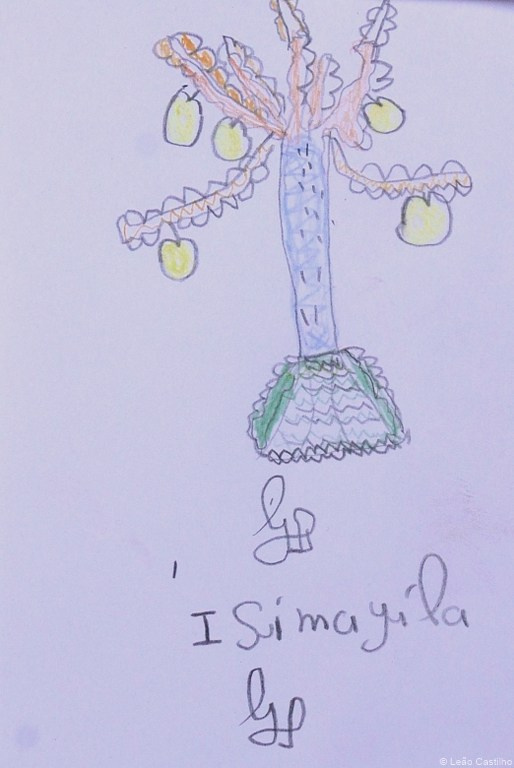 Photos of volunteer work at Senegal. Simbahalu