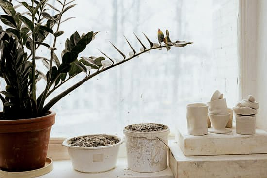 Cosas Bonitas. Yuliia Foto