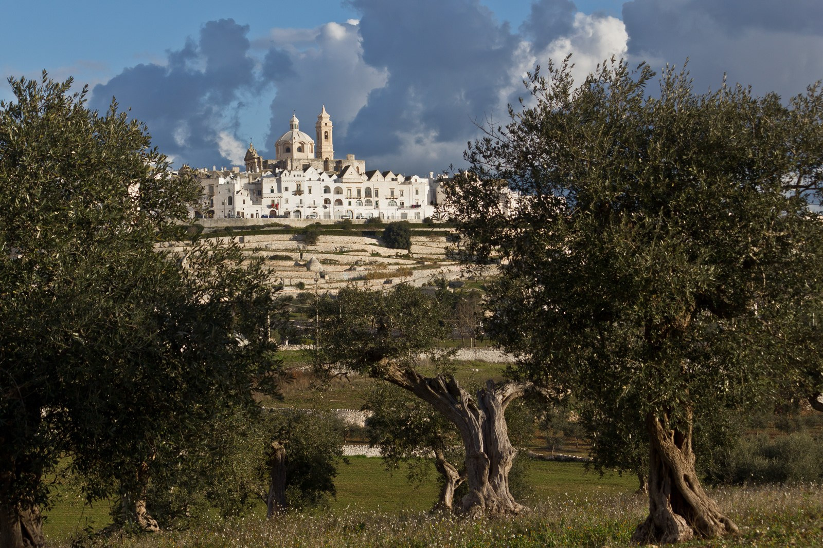A view of the town of Locorotondo  (Valle D'Itria, Apulia)