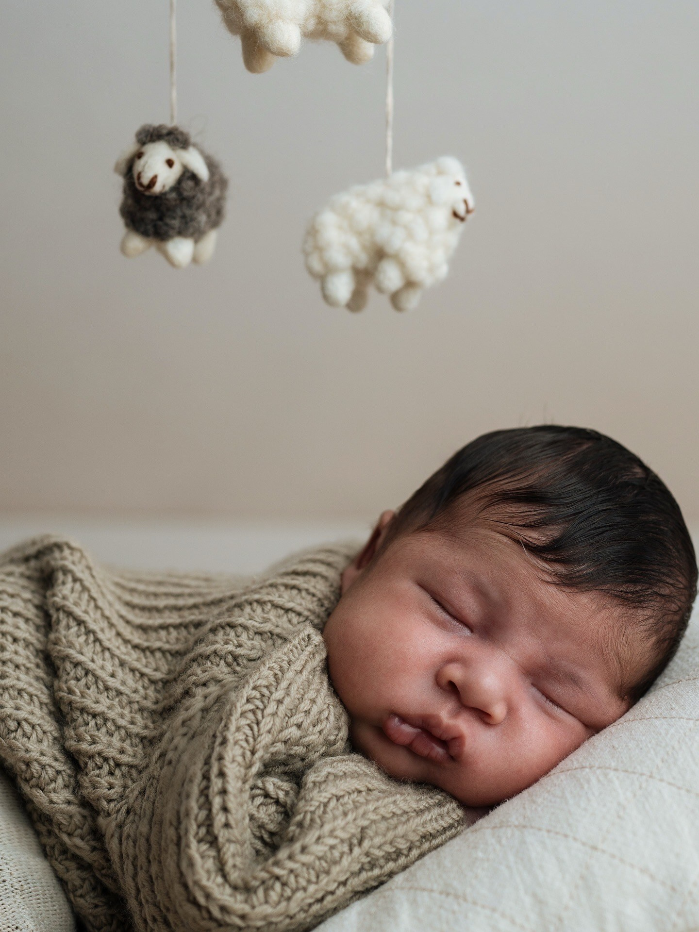 Newborn Shooting. Katerina Sellitti - Newborn Fotografin aus Bern. Schweiz