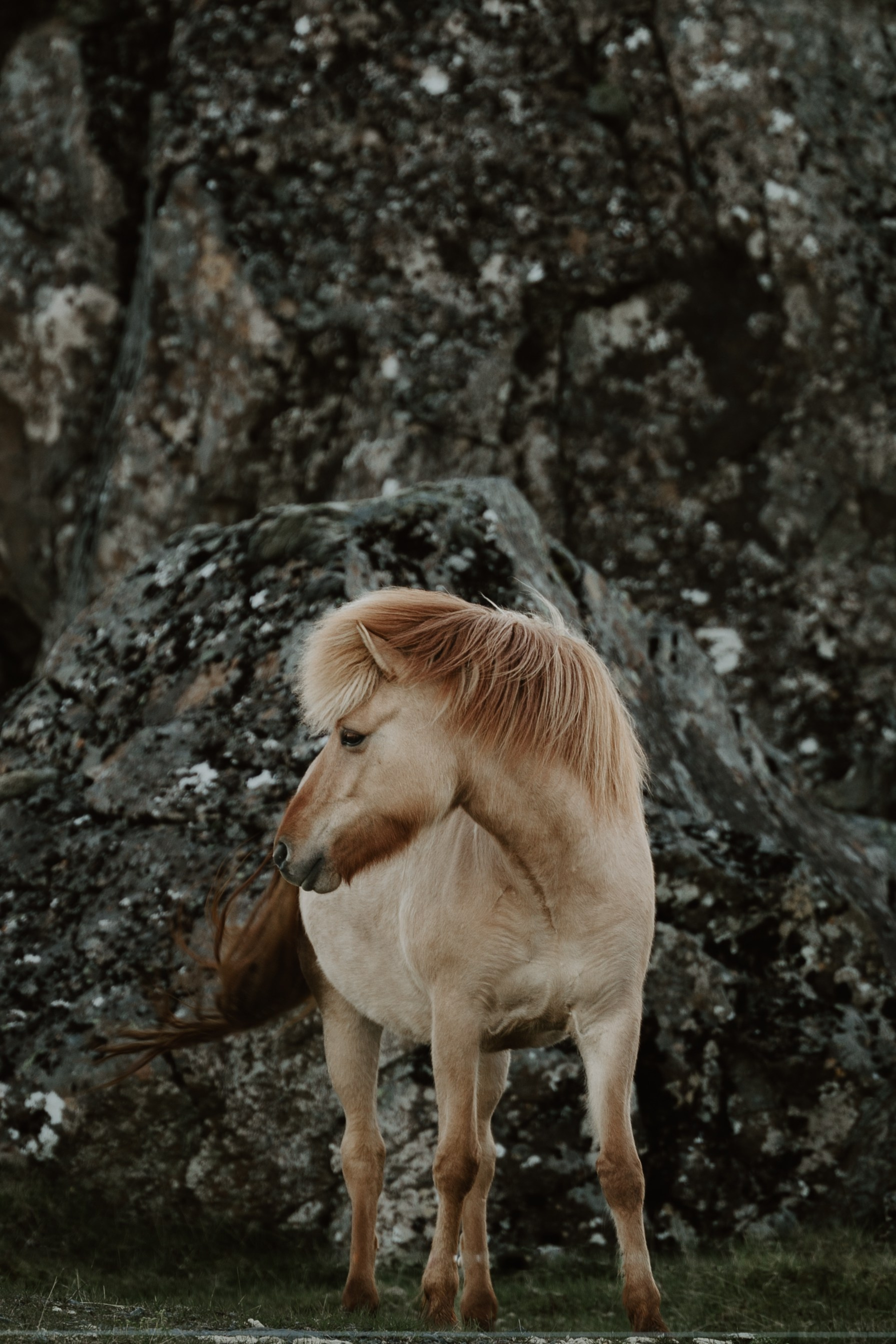 Forecast: Unpredictable. Heart In Lens Photography from Reykjavík, Iceland
