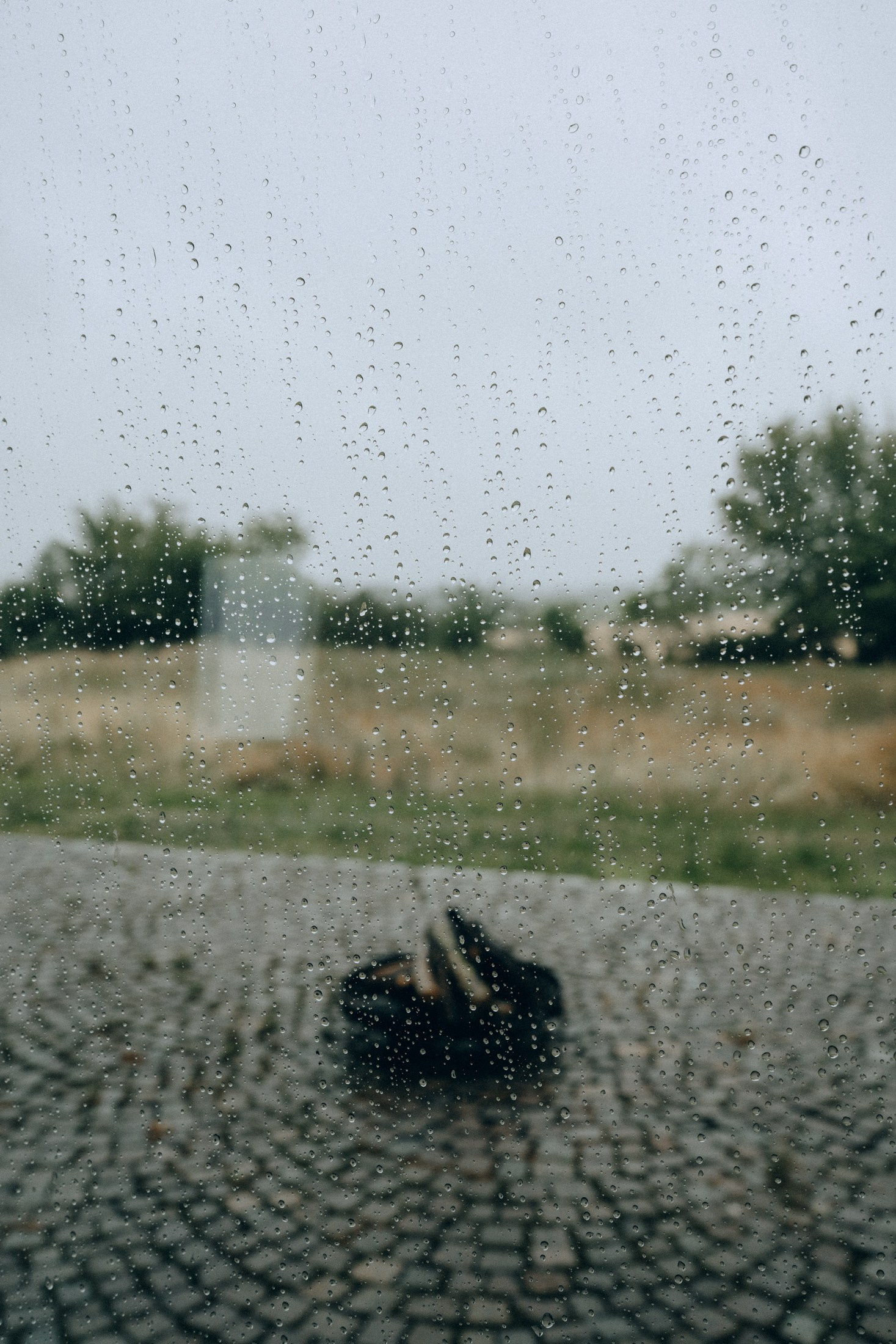 свадебный фотограф Дрезден, детали свадьбы - сезонные свадьбы, свадьба осенью