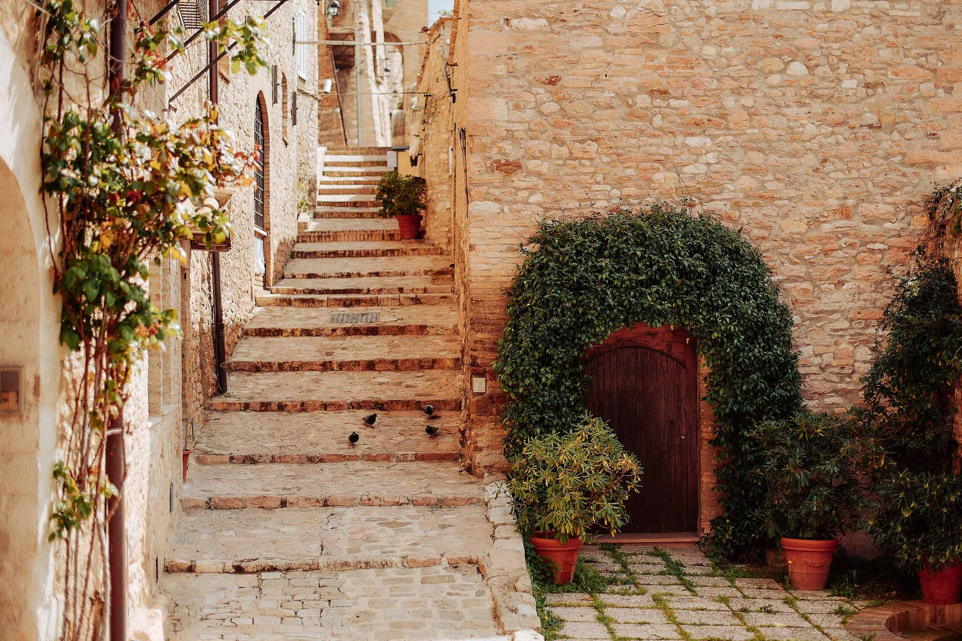 Assisi, Umbria — Travel Photography