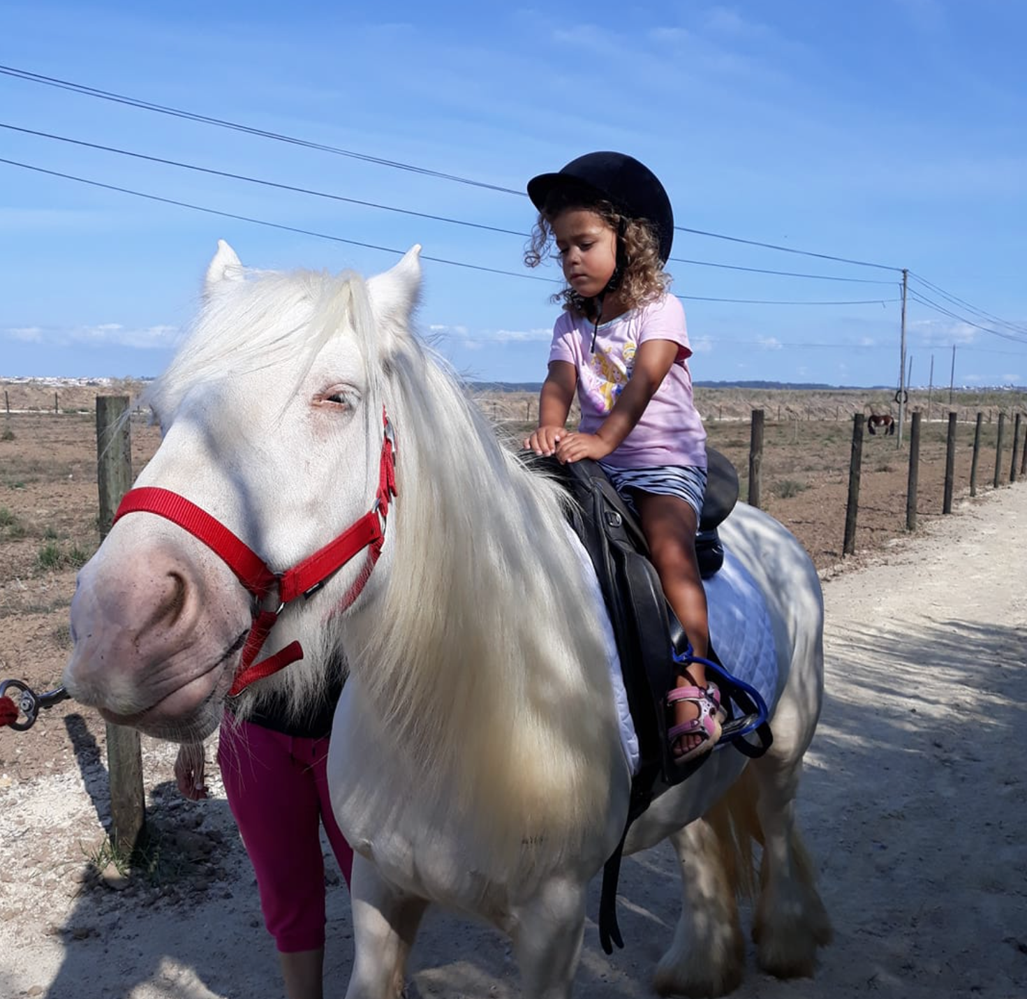 Eco Salgados Agroturismo | Opiniões. Passeios a Cavalo na Praia Peniche | Eco Salgados Agroturismo